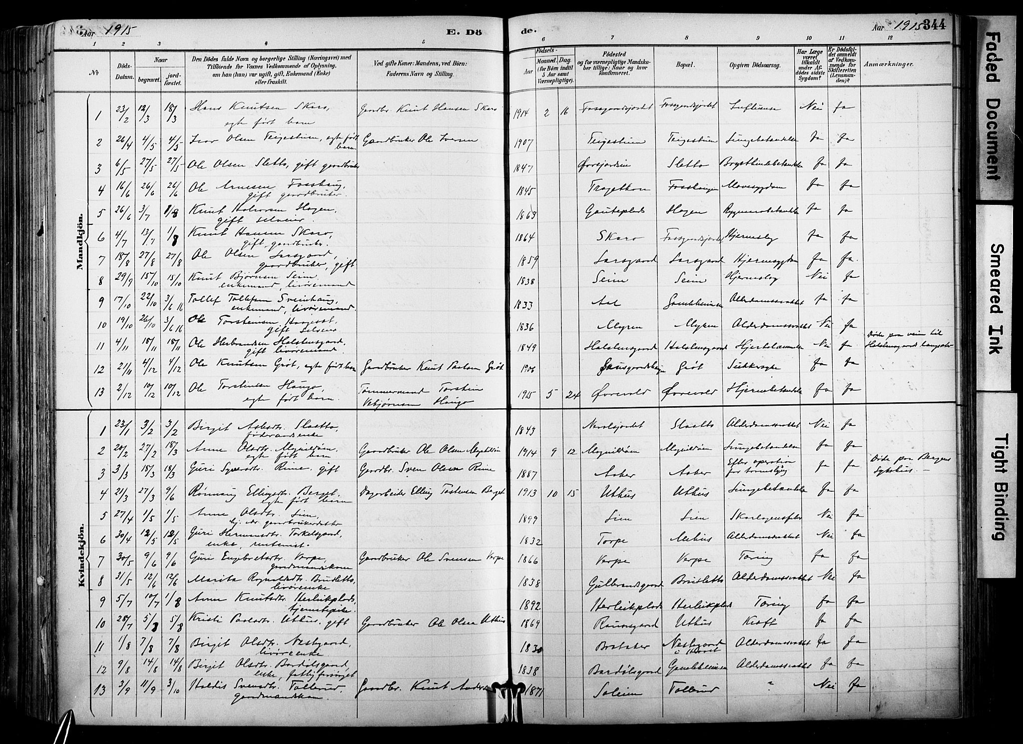 Hol kirkebøker, SAKO/A-227/F/Fa/L0003: Parish register (official) no. I 3, 1887-1918, p. 344