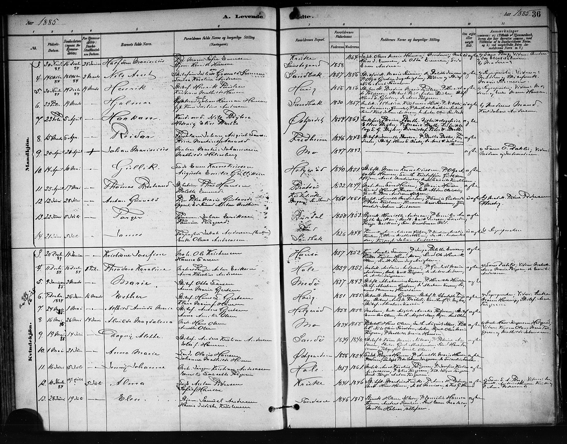 Tjøme kirkebøker, SAKO/A-328/F/Fa/L0001: Parish register (official) no. 1, 1879-1890, p. 36