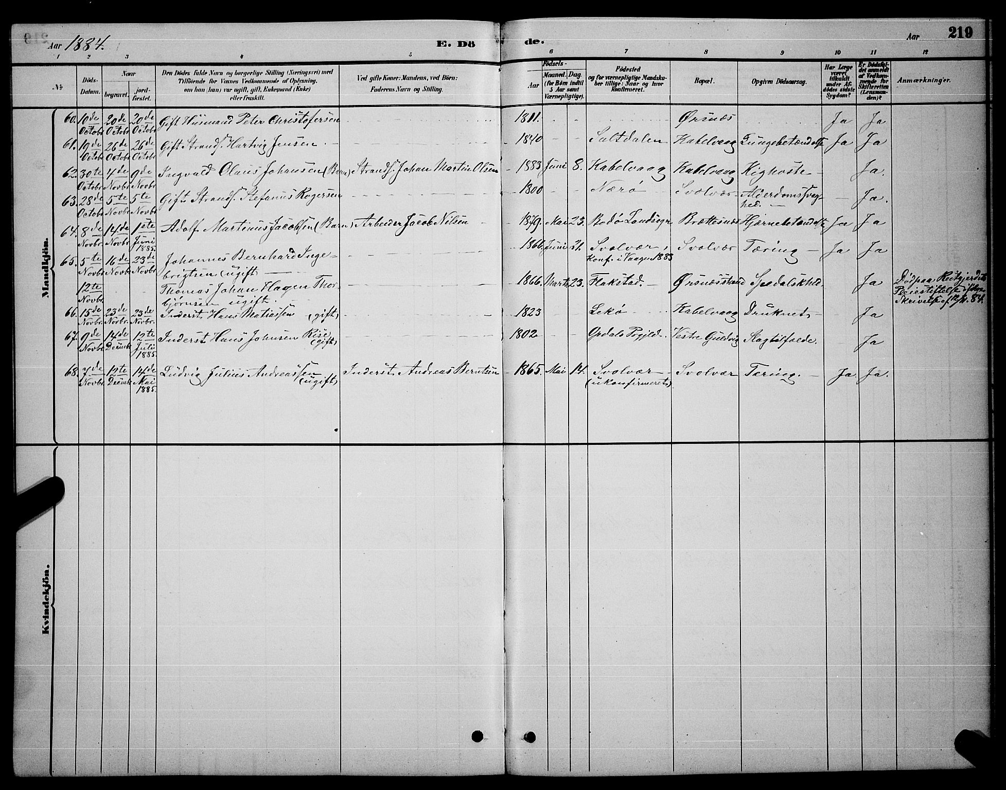 Ministerialprotokoller, klokkerbøker og fødselsregistre - Nordland, AV/SAT-A-1459/874/L1076: Parish register (copy) no. 874C05, 1884-1890, p. 219