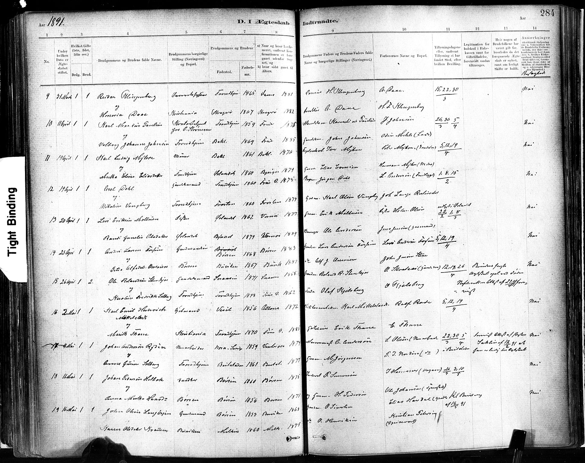 Ministerialprotokoller, klokkerbøker og fødselsregistre - Sør-Trøndelag, SAT/A-1456/602/L0119: Parish register (official) no. 602A17, 1880-1901, p. 284