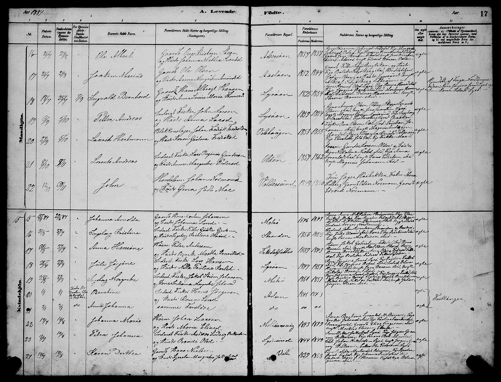 Ministerialprotokoller, klokkerbøker og fødselsregistre - Sør-Trøndelag, SAT/A-1456/654/L0665: Parish register (copy) no. 654C01, 1879-1901, p. 17