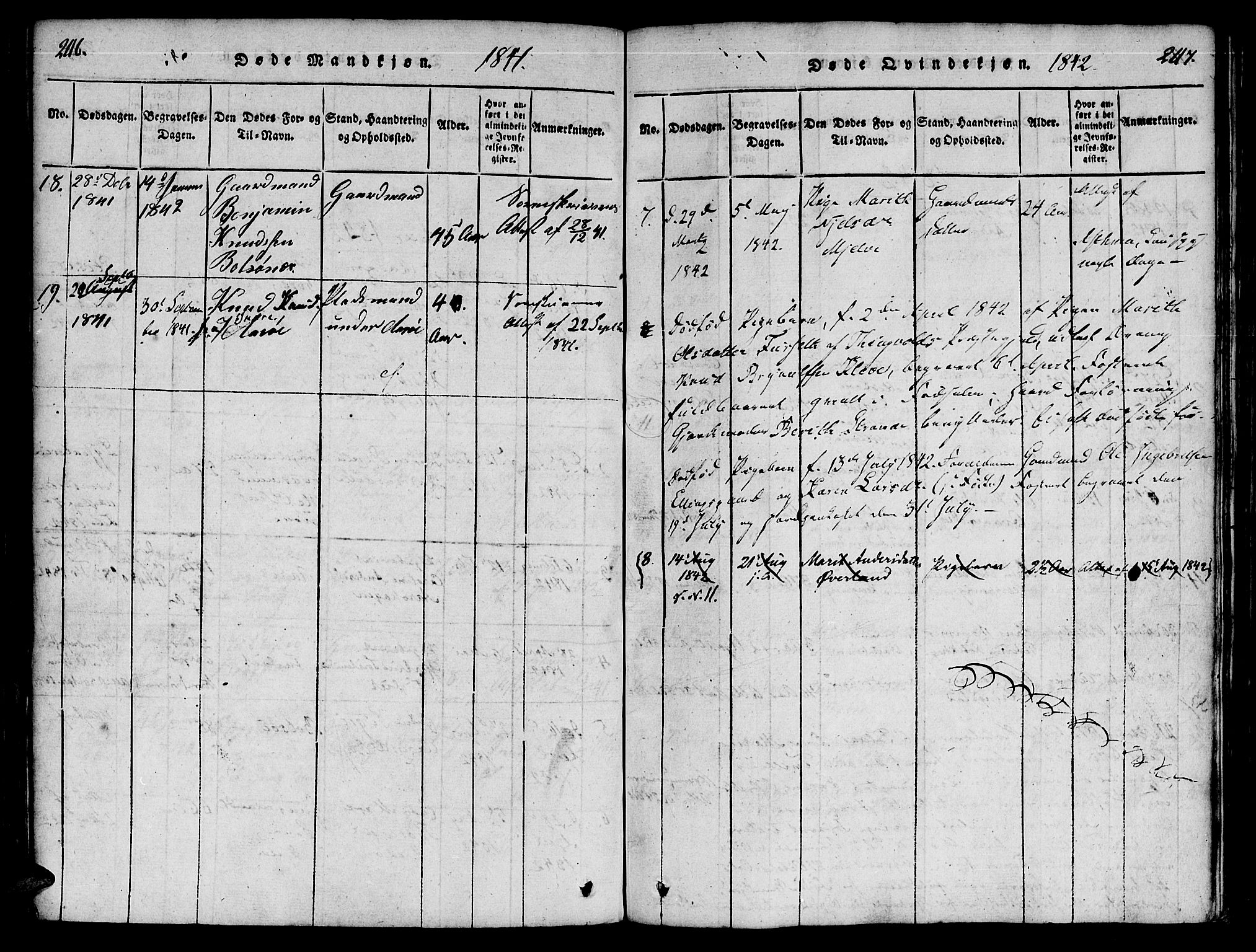 Ministerialprotokoller, klokkerbøker og fødselsregistre - Møre og Romsdal, SAT/A-1454/555/L0652: Parish register (official) no. 555A03, 1817-1843, p. 246-247