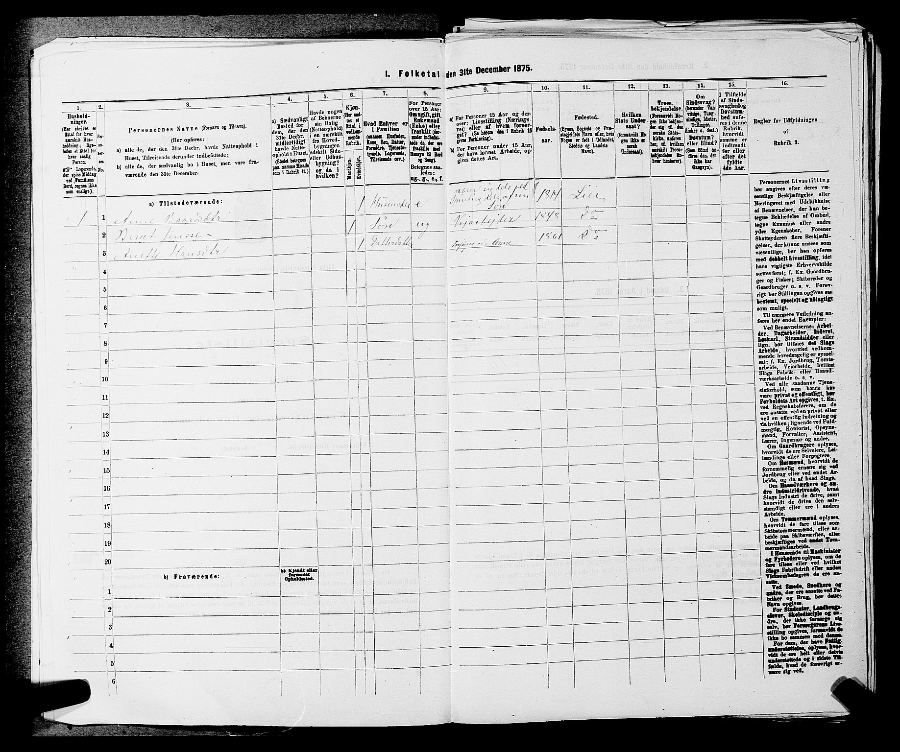 SAKO, 1875 census for 0626P Lier, 1875, p. 946