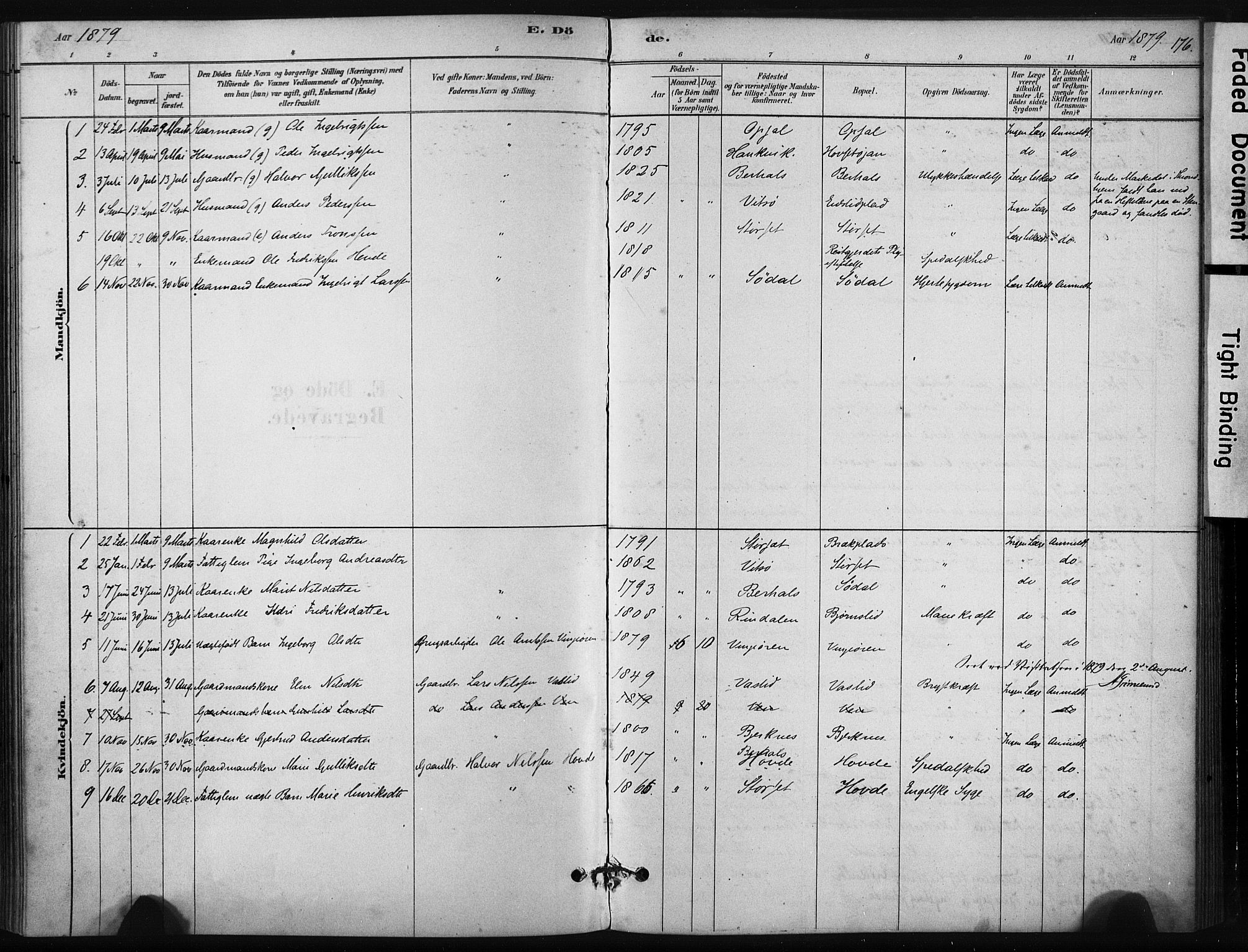 Ministerialprotokoller, klokkerbøker og fødselsregistre - Sør-Trøndelag, SAT/A-1456/631/L0512: Parish register (official) no. 631A01, 1879-1912, p. 176