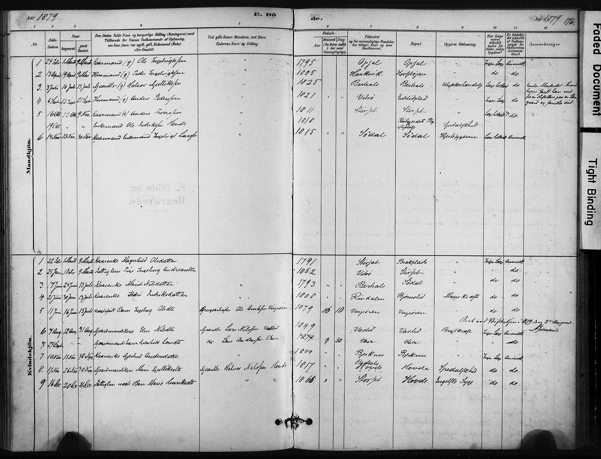 Ministerialprotokoller, klokkerbøker og fødselsregistre - Sør-Trøndelag, AV/SAT-A-1456/631/L0512: Parish register (official) no. 631A01, 1879-1912, p. 176