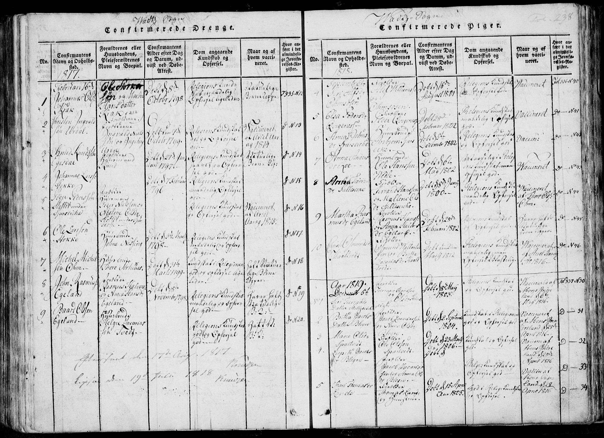 Skjold sokneprestkontor, SAST/A-101847/H/Ha/Haa/L0004: Parish register (official) no. A 4 /2, 1815-1830, p. 238