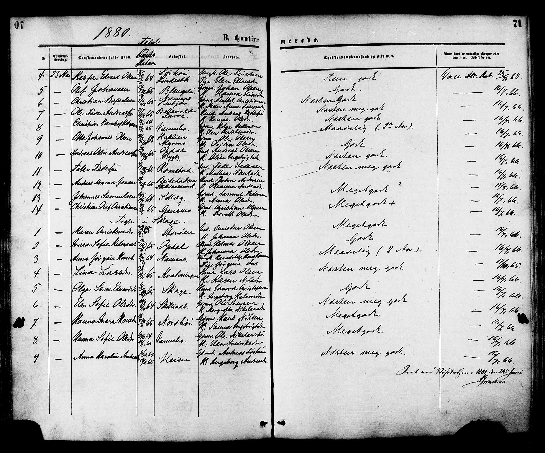 Ministerialprotokoller, klokkerbøker og fødselsregistre - Nord-Trøndelag, AV/SAT-A-1458/764/L0553: Parish register (official) no. 764A08, 1858-1880, p. 71