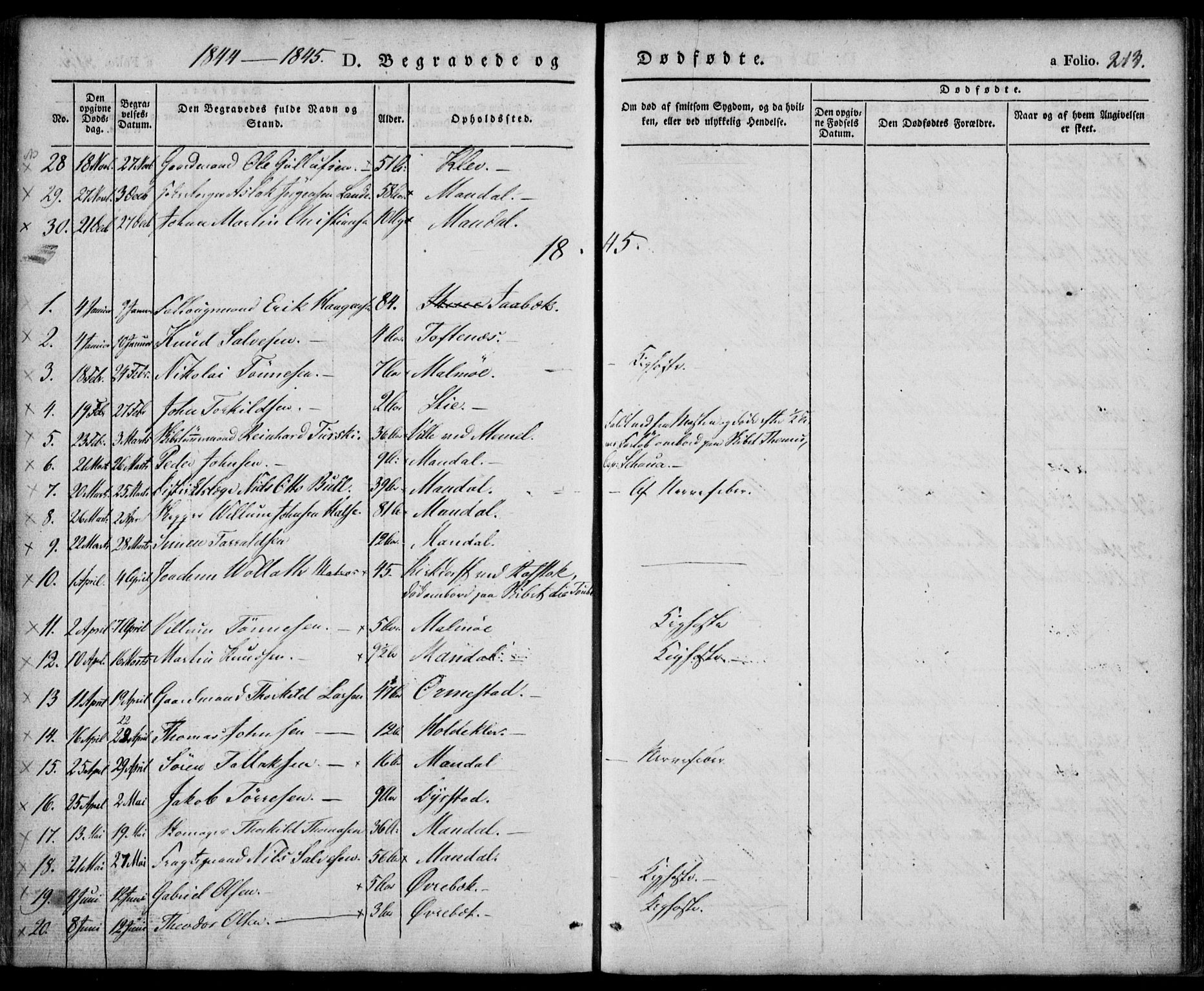 Mandal sokneprestkontor, SAK/1111-0030/F/Fa/Faa/L0012: Parish register (official) no. A 12, 1840-1847, p. 213