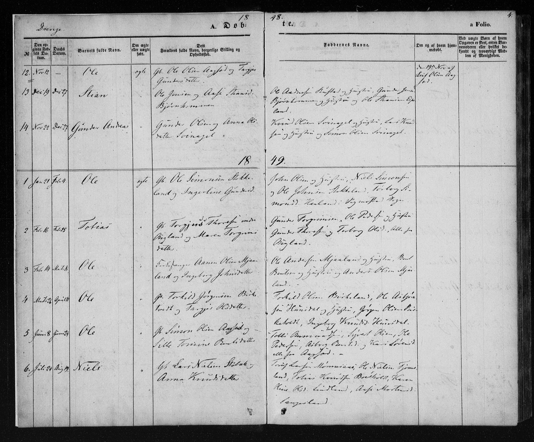 Holum sokneprestkontor, AV/SAK-1111-0022/F/Fa/Fab/L0005: Parish register (official) no. A 5, 1847-1874, p. 4