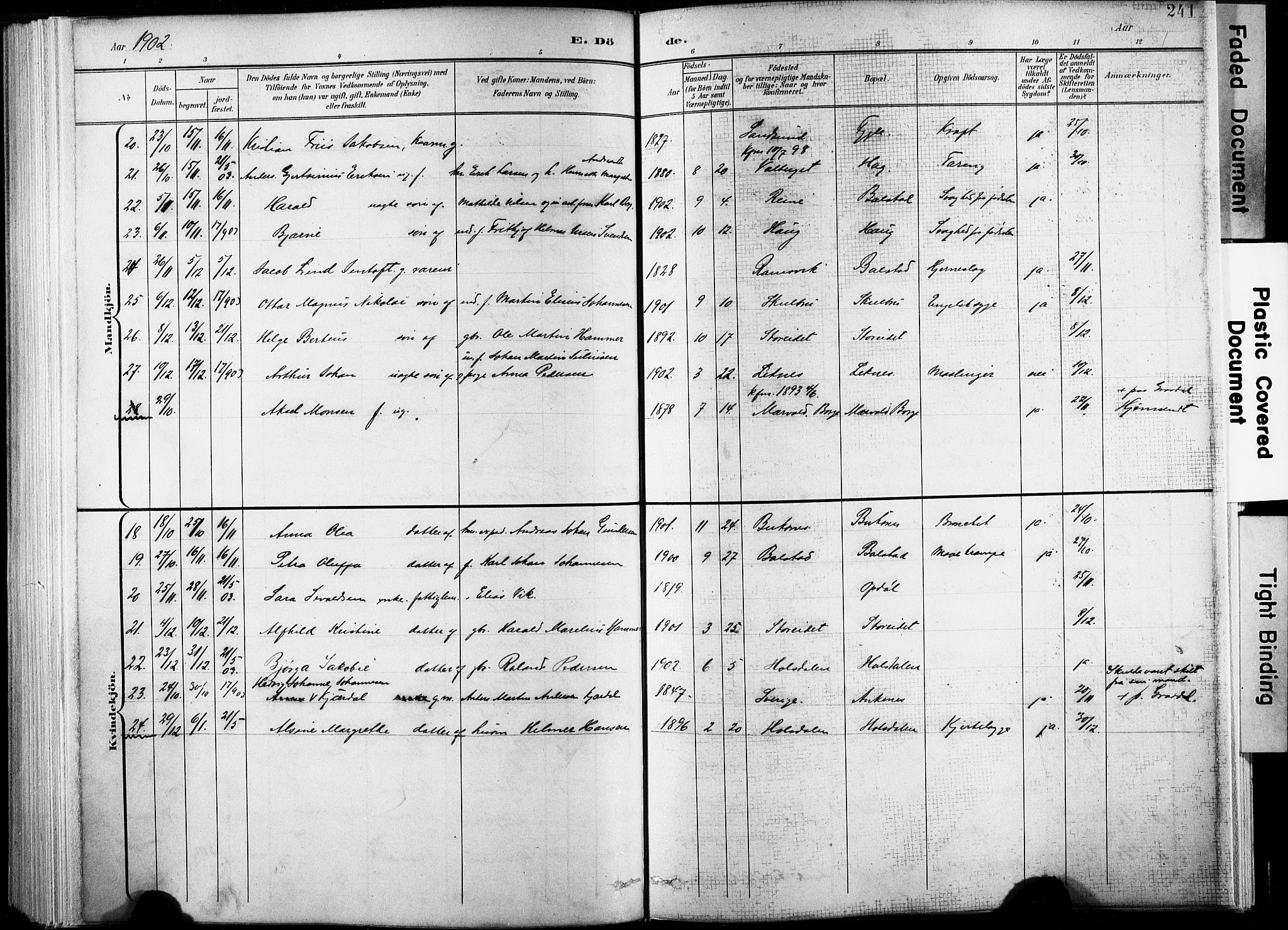 Ministerialprotokoller, klokkerbøker og fødselsregistre - Nordland, AV/SAT-A-1459/881/L1151: Parish register (official) no. 881A04, 1899-1907, p. 241