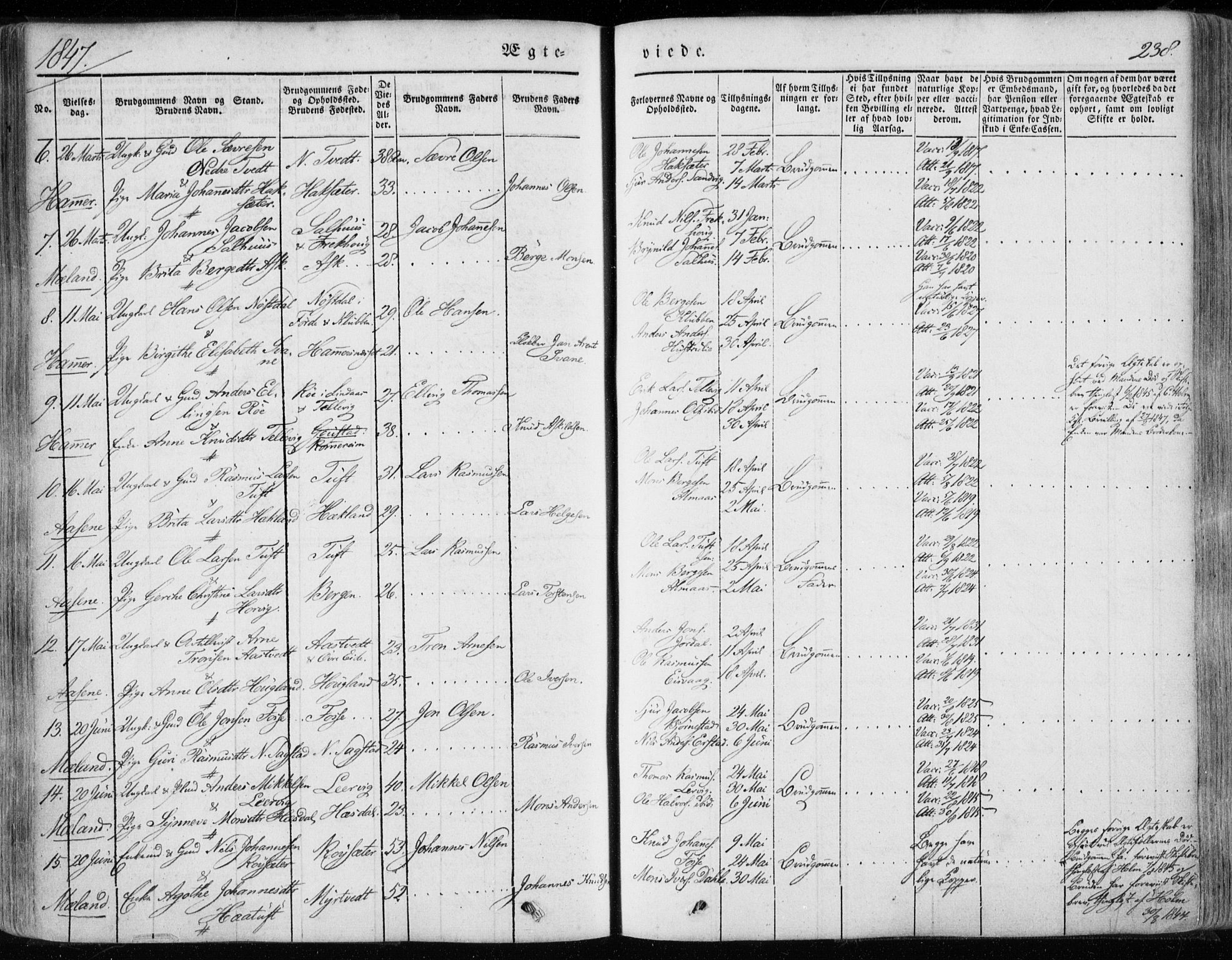 Hamre sokneprestembete, AV/SAB-A-75501/H/Ha/Haa/Haaa/L0013: Parish register (official) no. A 13, 1846-1857, p. 238