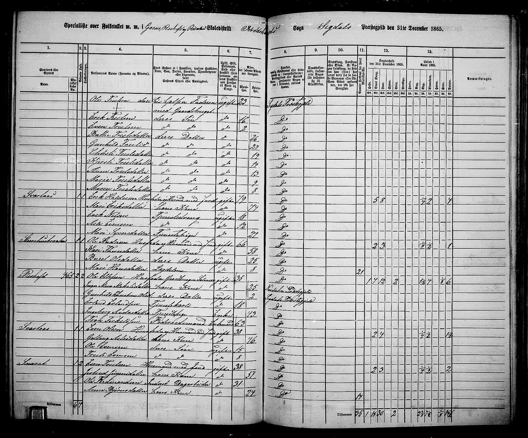 RA, 1865 census for Sigdal, 1865, p. 221