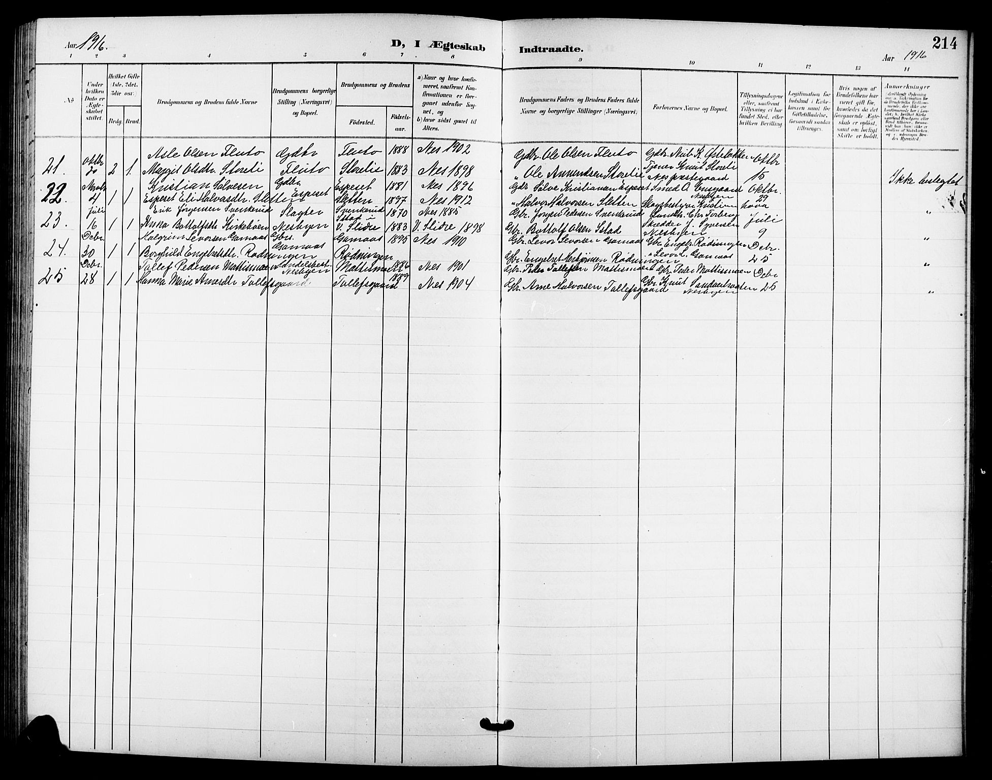 Nes kirkebøker, SAKO/A-236/G/Ga/L0004: Parish register (copy) no. I 4, 1900-1925, p. 214