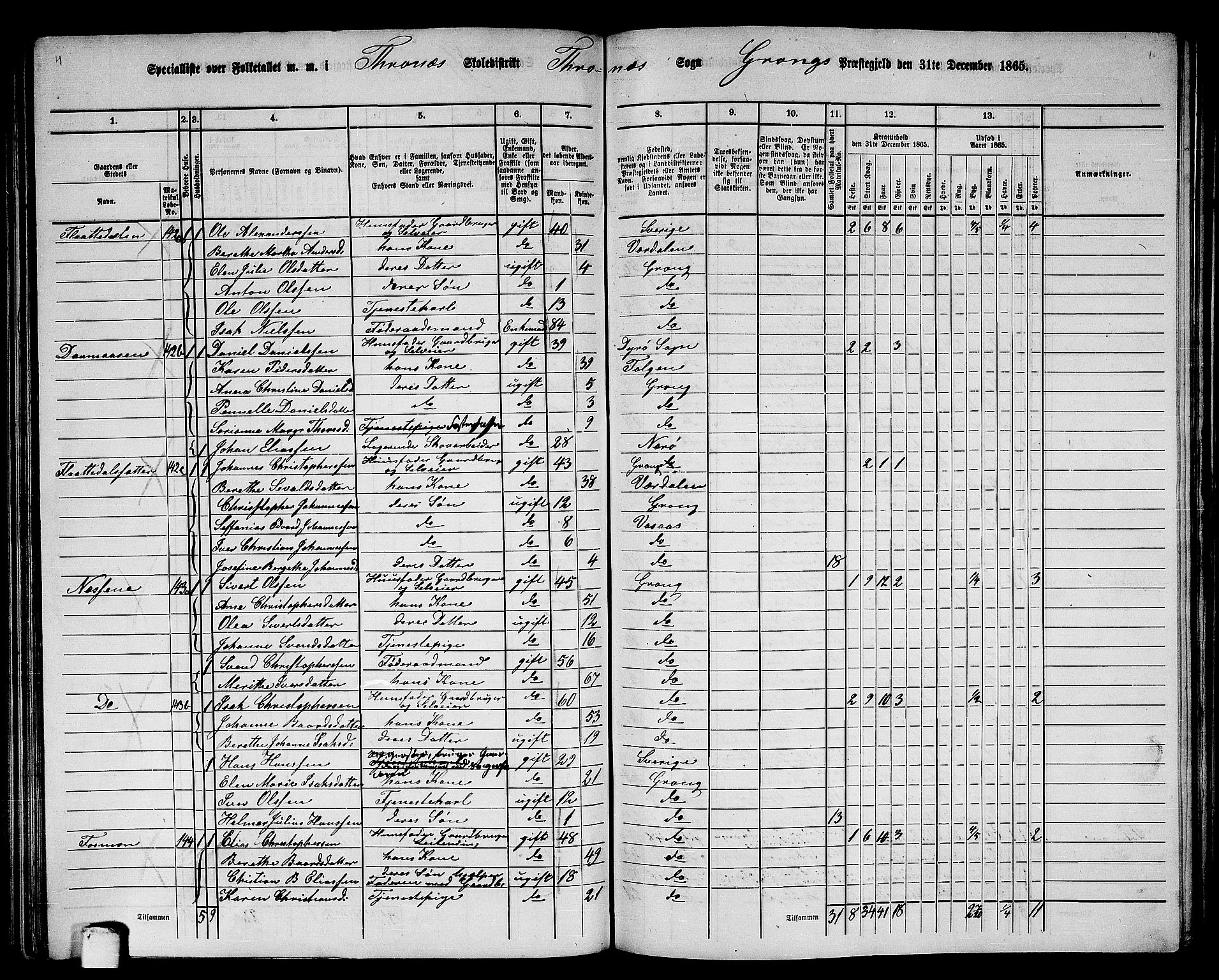 RA, 1865 census for Grong, 1865, p. 123