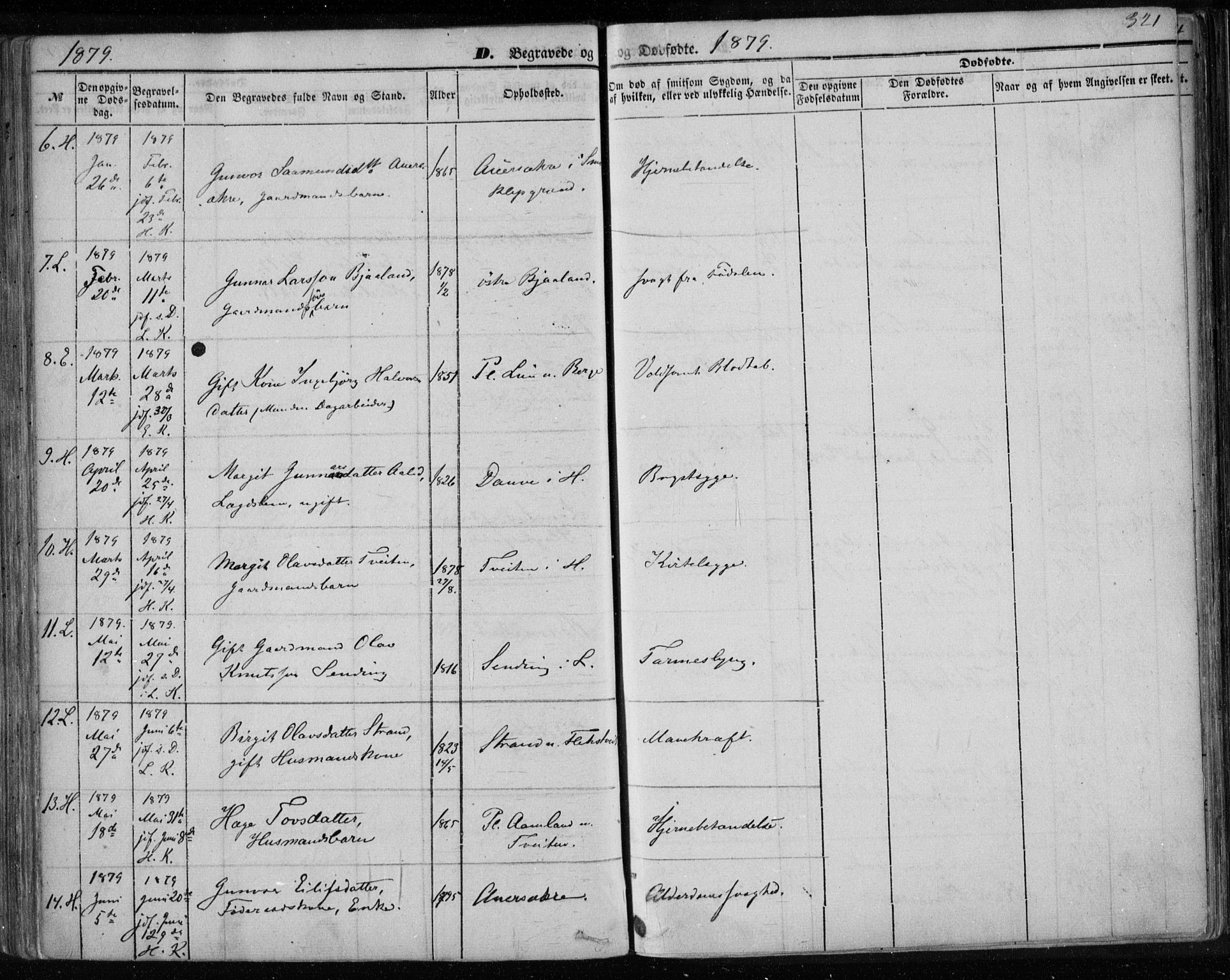 Lårdal kirkebøker, SAKO/A-284/F/Fa/L0006: Parish register (official) no. I 6, 1861-1886, p. 321