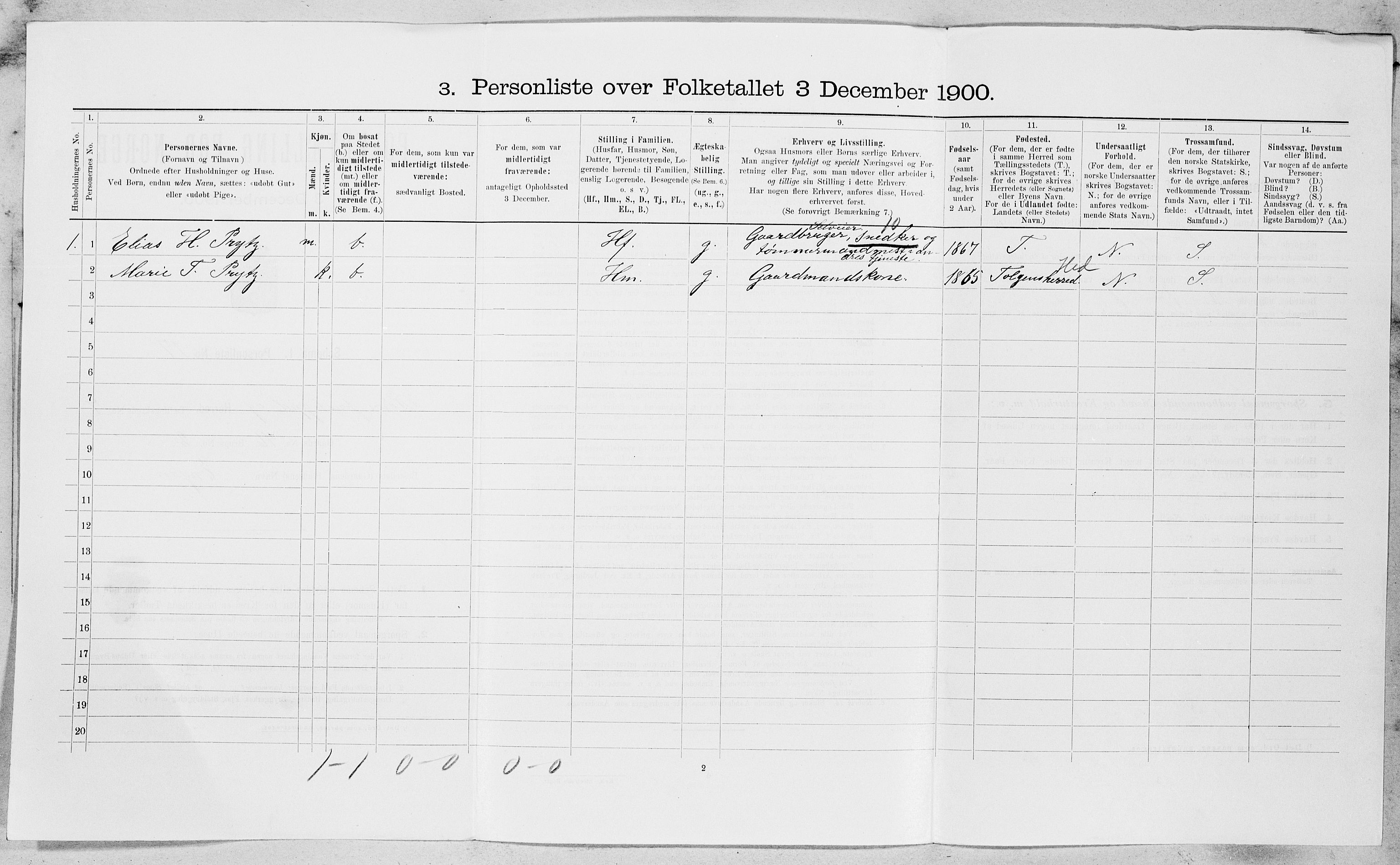 SAT, 1900 census for Røros, 1900, p. 893