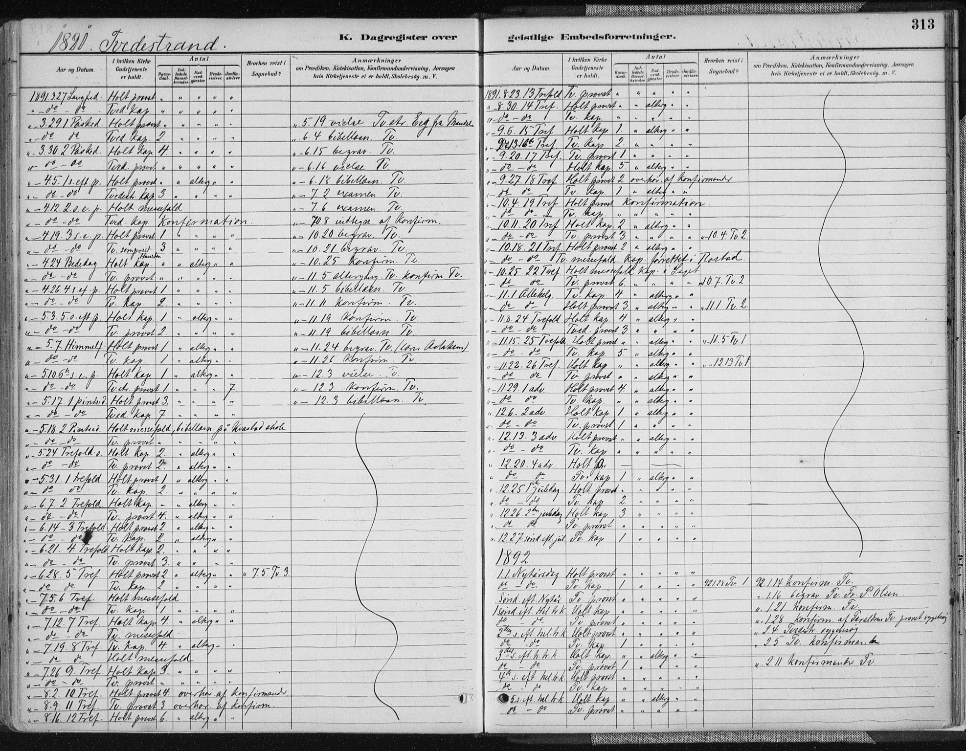 Tvedestrand sokneprestkontor, AV/SAK-1111-0042/F/Fa/L0001: Parish register (official) no. A 1, 1885-1916, p. 313