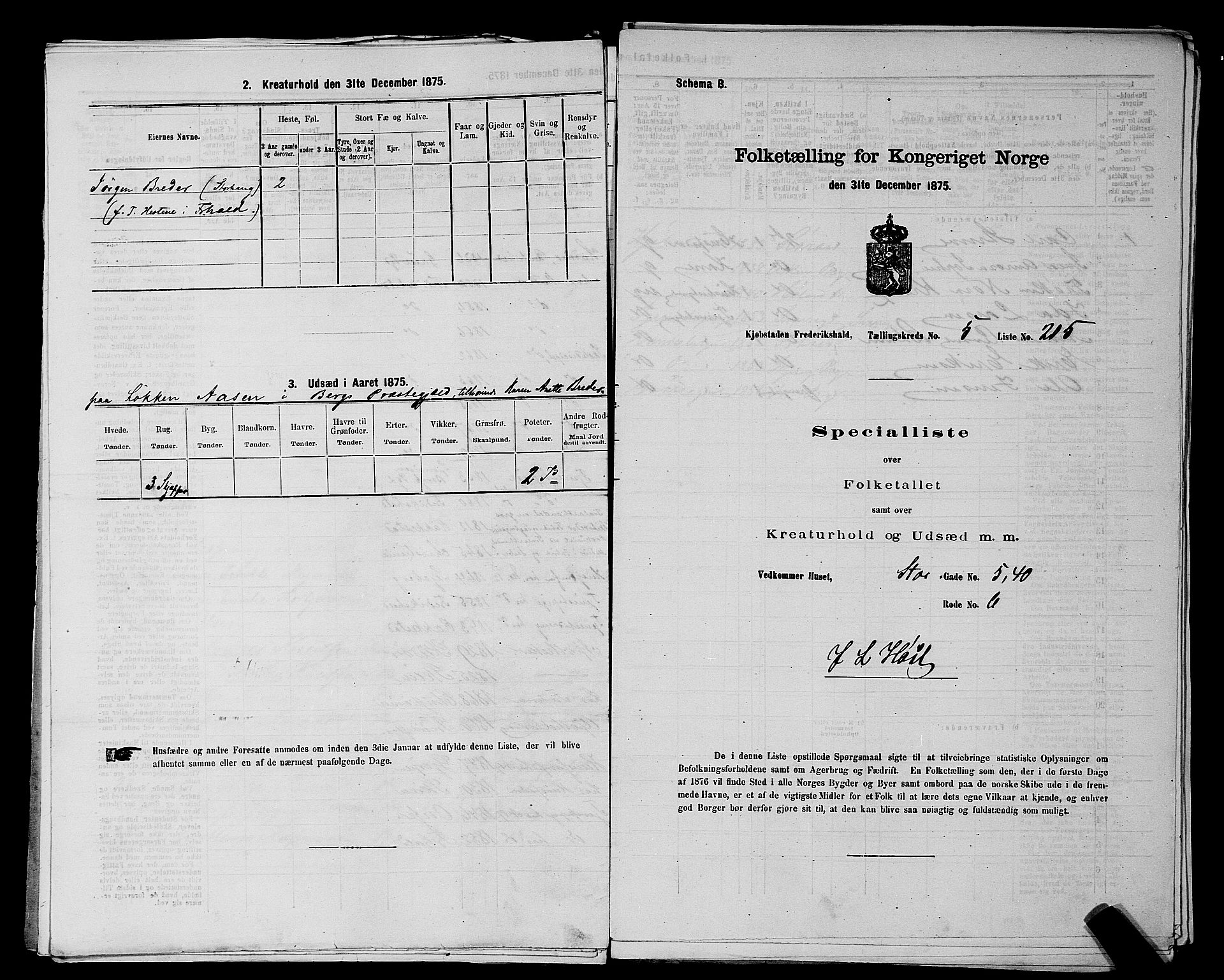 RA, 1875 census for 0101P Fredrikshald, 1875, p. 495