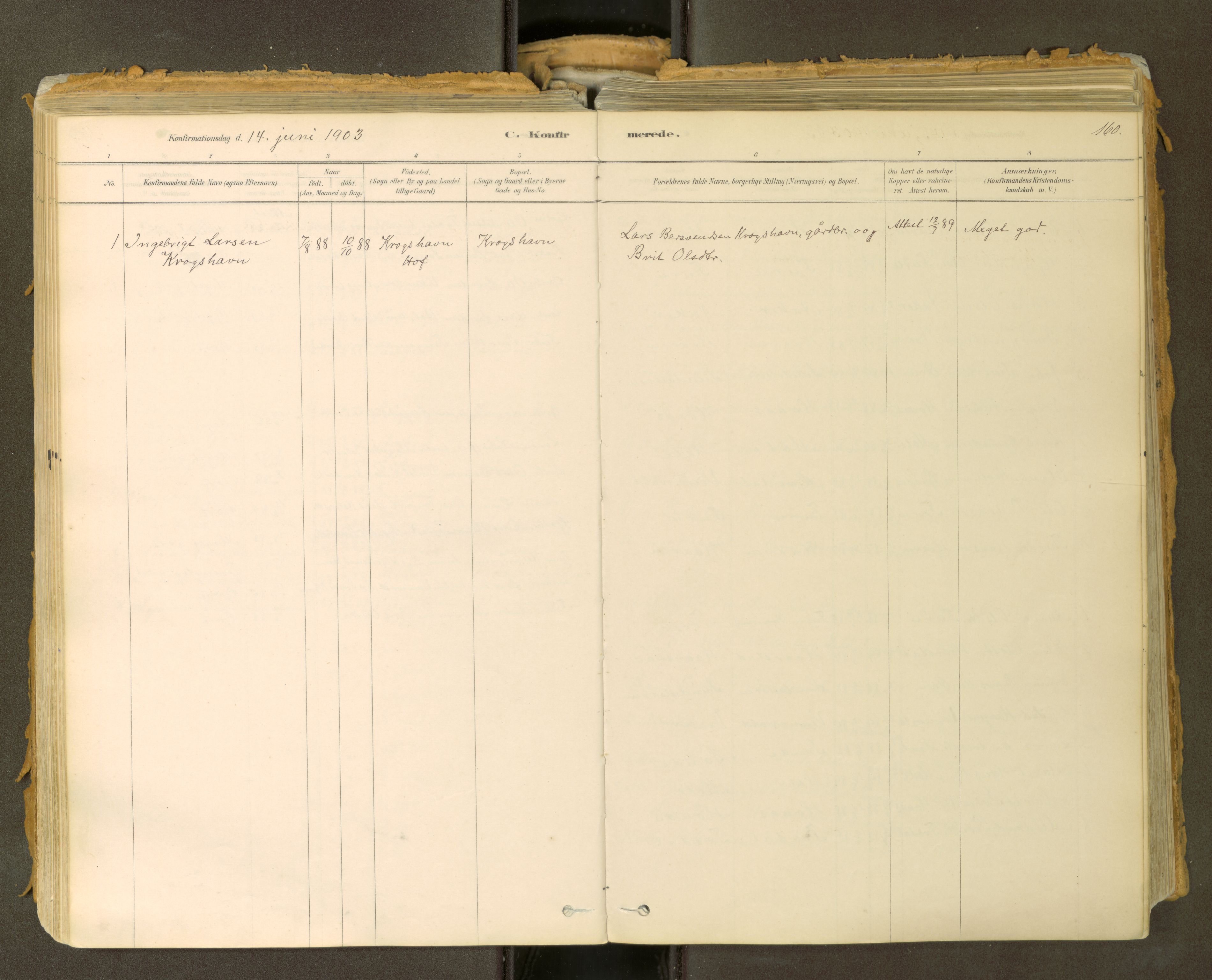 Sunndal sokneprestkontor, SAT/A-1085/1/I/I1/I1a: Parish register (official) no. 2, 1877-1914, p. 160
