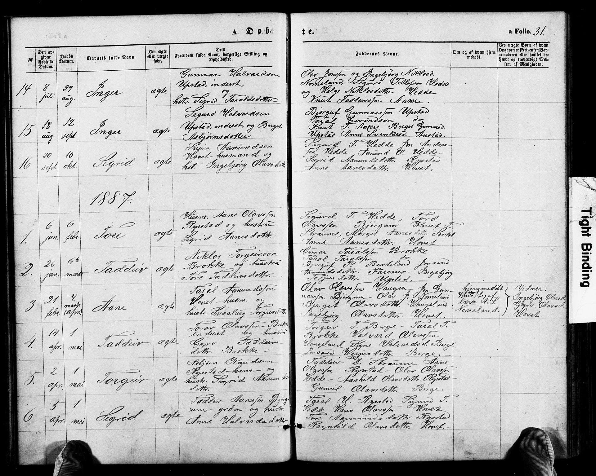 Valle sokneprestkontor, SAK/1111-0044/F/Fb/Fbb/L0002: Parish register (copy) no. B 2, 1875-1921, p. 31