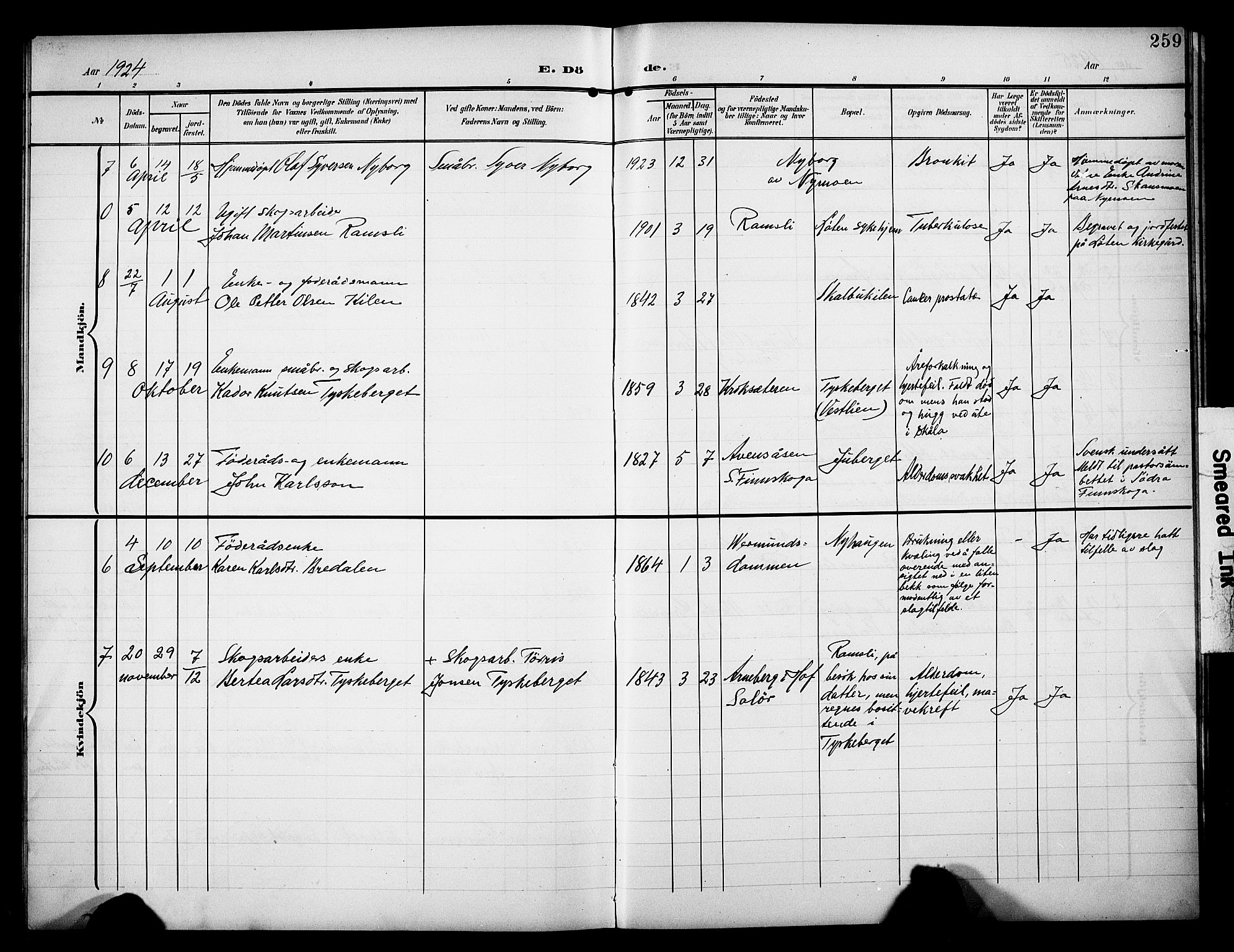 Åsnes prestekontor, AV/SAH-PREST-042/H/Ha/Hab/L0006: Parish register (copy) no. 6, 1903-1929, p. 259