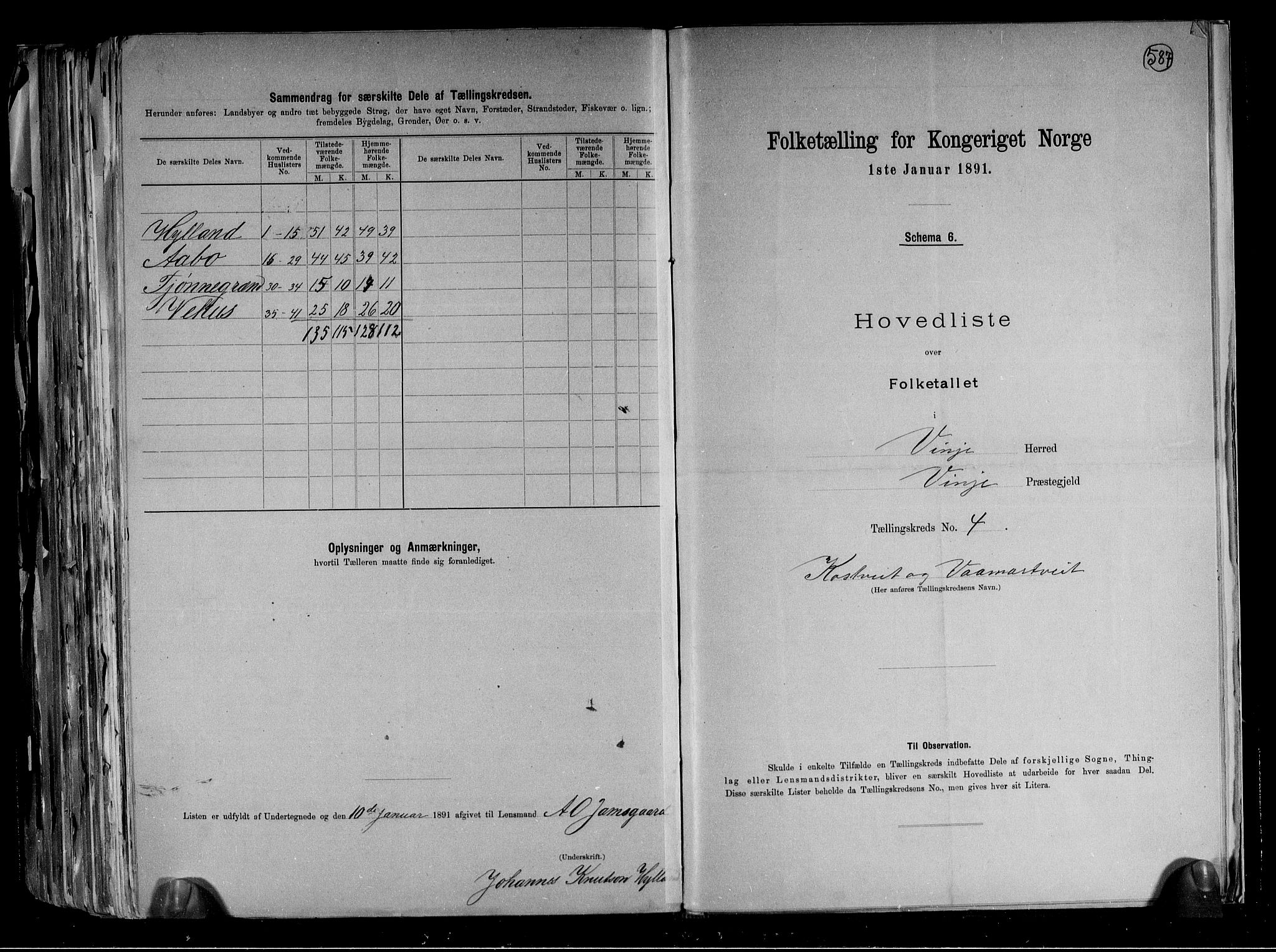 RA, 1891 census for 0834 Vinje, 1891, p. 10