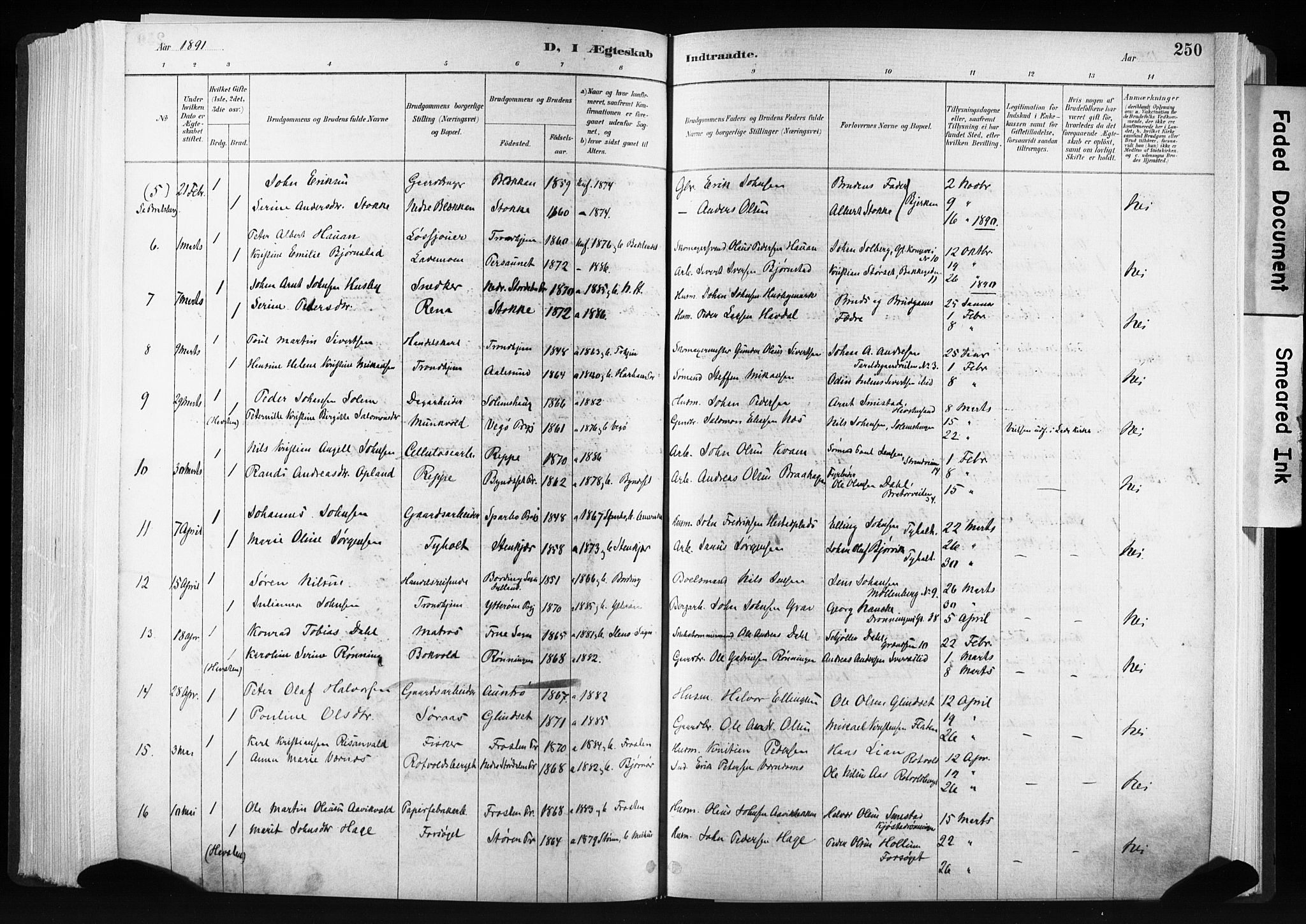 Ministerialprotokoller, klokkerbøker og fødselsregistre - Sør-Trøndelag, SAT/A-1456/606/L0300: Parish register (official) no. 606A15, 1886-1893, p. 250