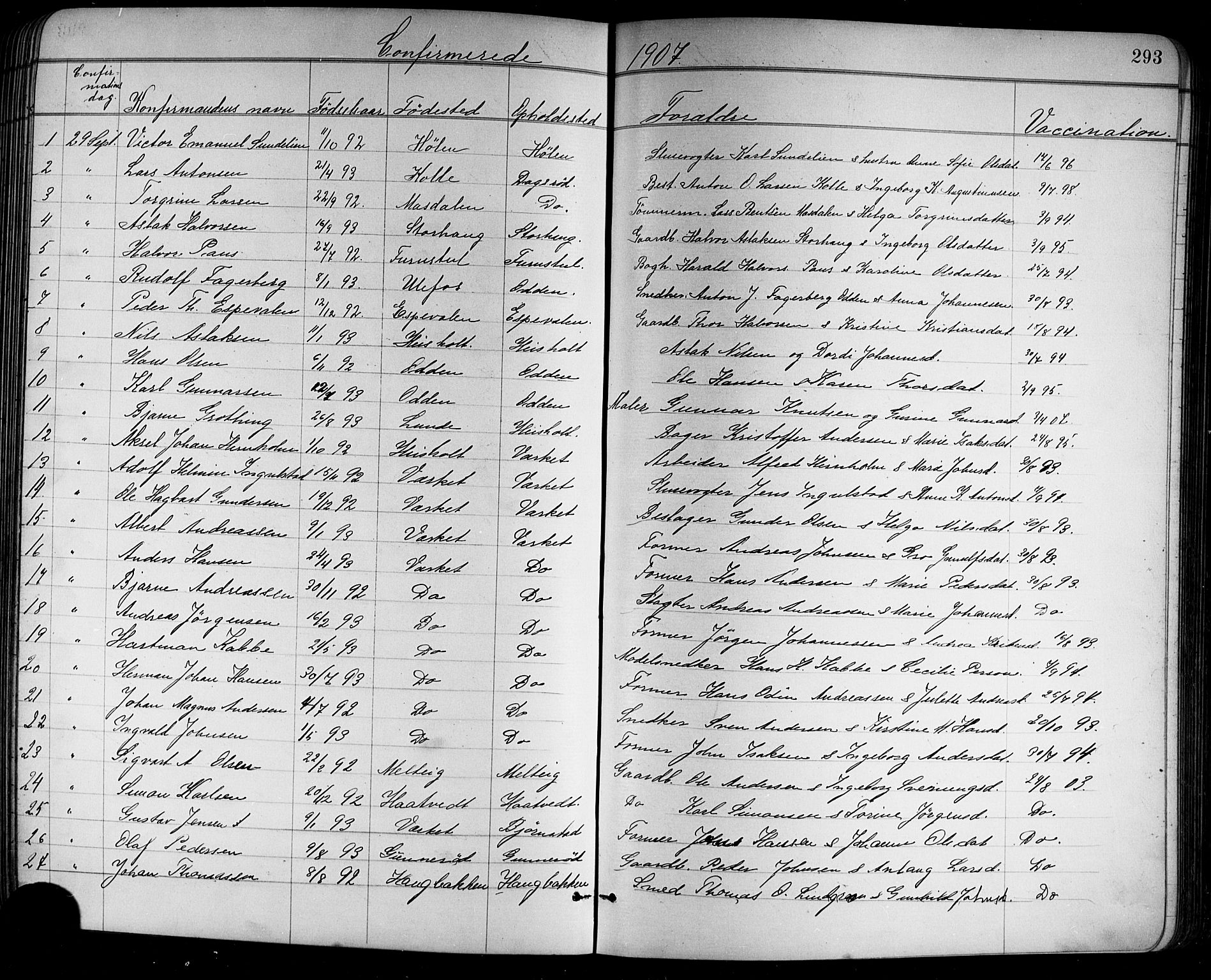Holla kirkebøker, SAKO/A-272/G/Ga/L0005: Parish register (copy) no. I 5, 1891-1917, p. 293