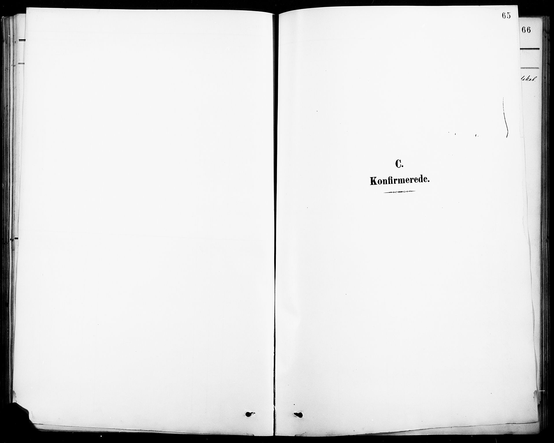 Vinger prestekontor, SAH/PREST-024/H/Ha/Hab/L0005: Parish register (copy) no. 5, 1895-1920, p. 65