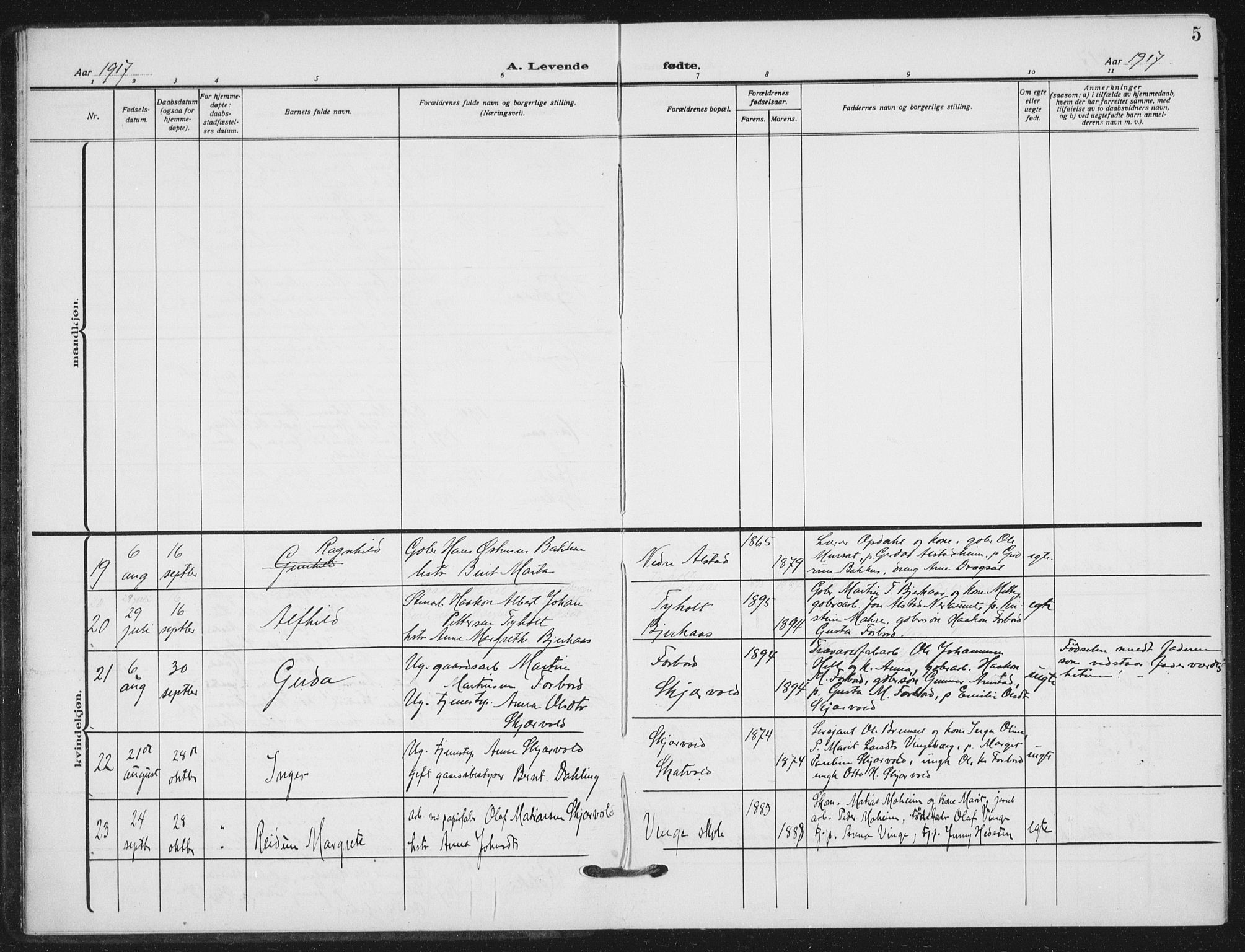 Ministerialprotokoller, klokkerbøker og fødselsregistre - Nord-Trøndelag, AV/SAT-A-1458/712/L0102: Parish register (official) no. 712A03, 1916-1929, p. 5