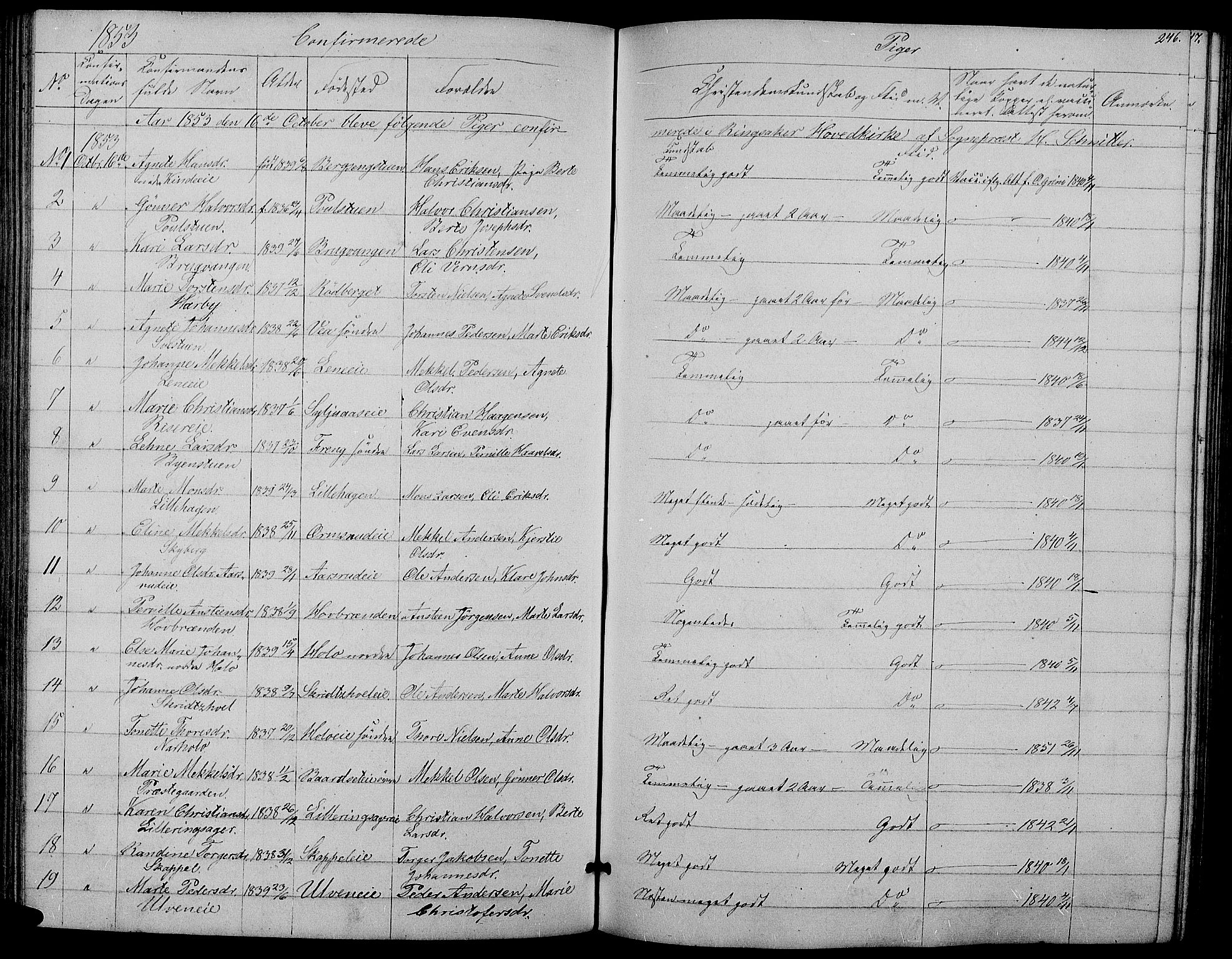 Ringsaker prestekontor, AV/SAH-PREST-014/L/La/L0006: Parish register (copy) no. 6, 1851-1860, p. 246