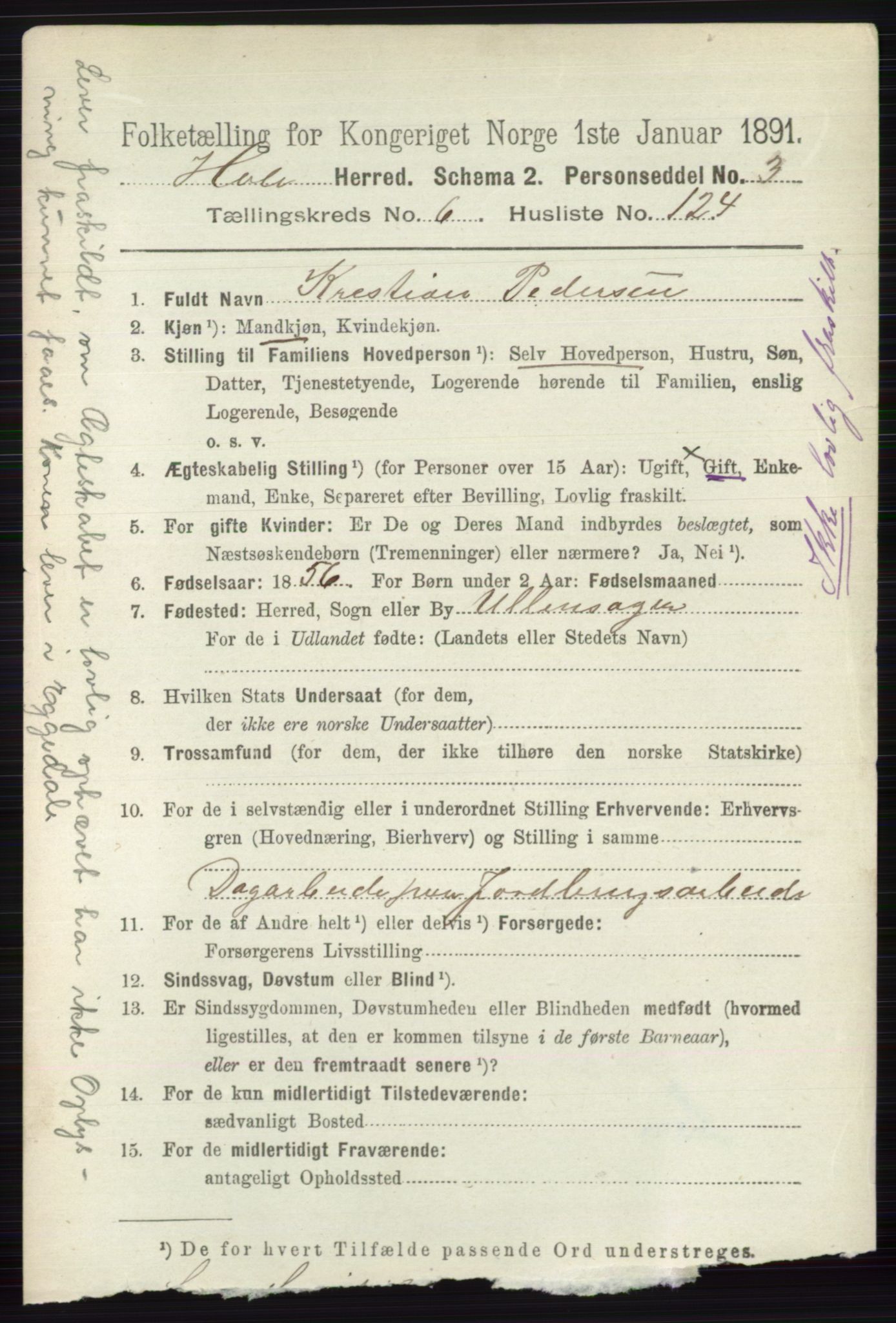 RA, 1891 census for 0612 Hole, 1891, p. 3879