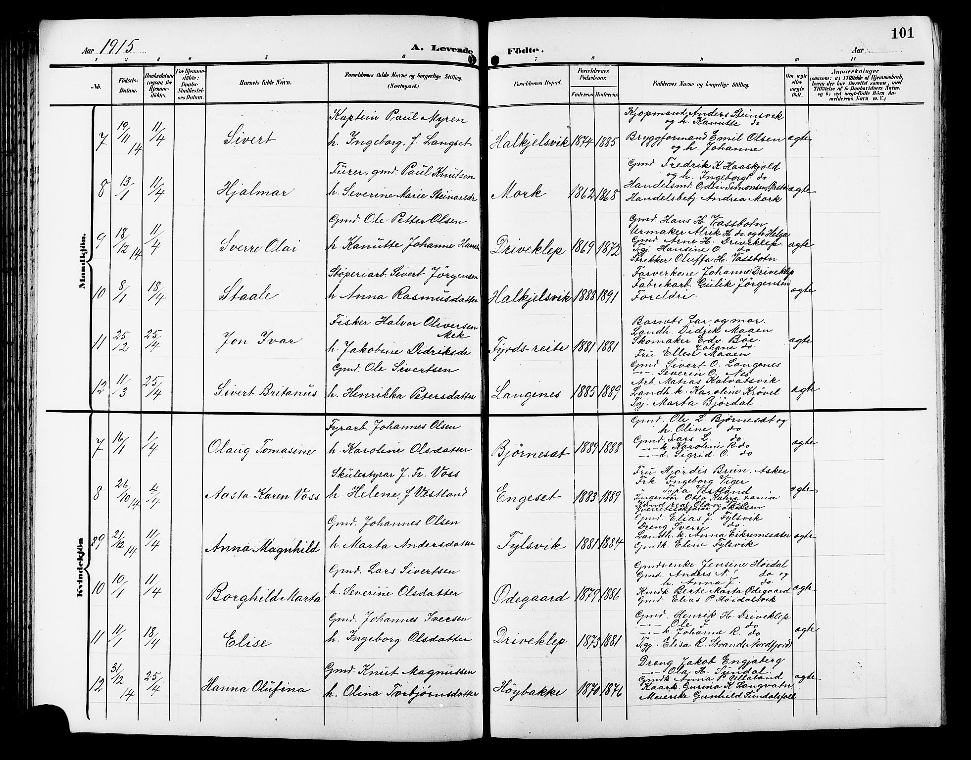 Ministerialprotokoller, klokkerbøker og fødselsregistre - Møre og Romsdal, AV/SAT-A-1454/511/L0159: Parish register (copy) no. 511C05, 1902-1920, p. 101