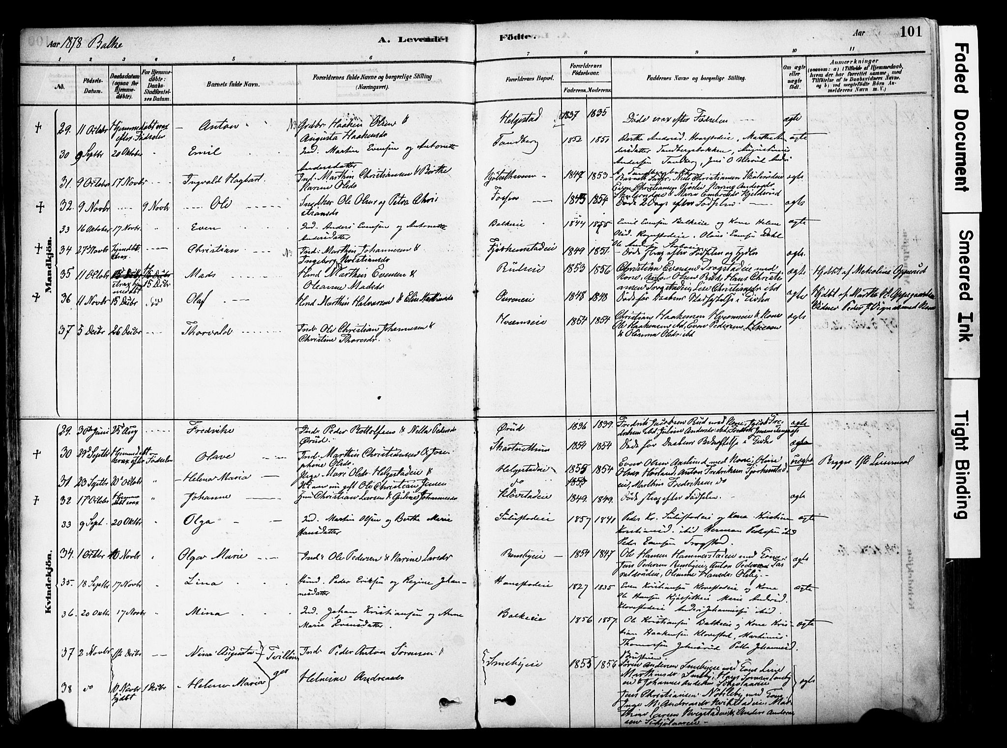 Østre Toten prestekontor, SAH/PREST-104/H/Ha/Haa/L0006: Parish register (official) no. 6 /2, 1878-1880, p. 101