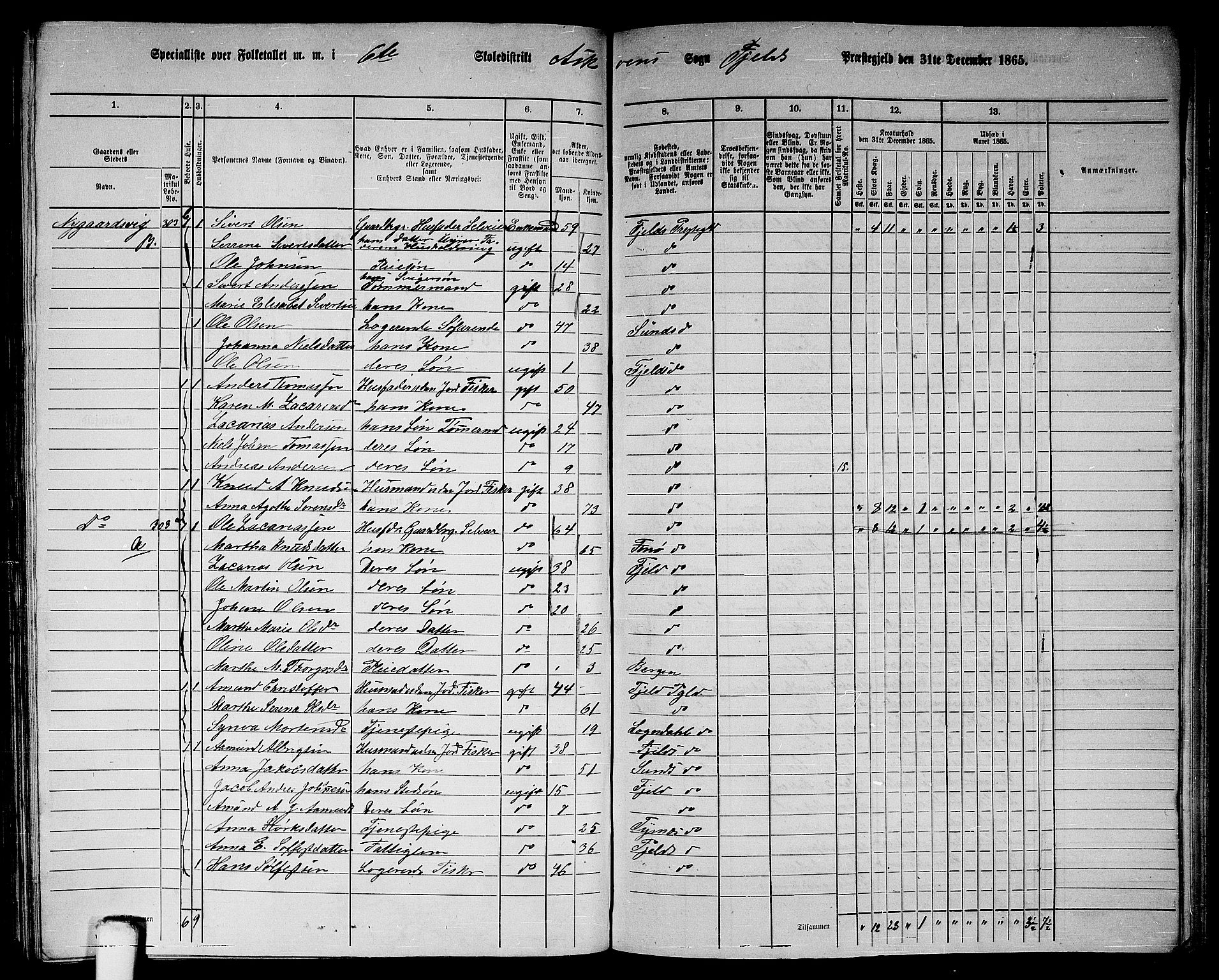 RA, 1865 census for Fjell, 1865, p. 202