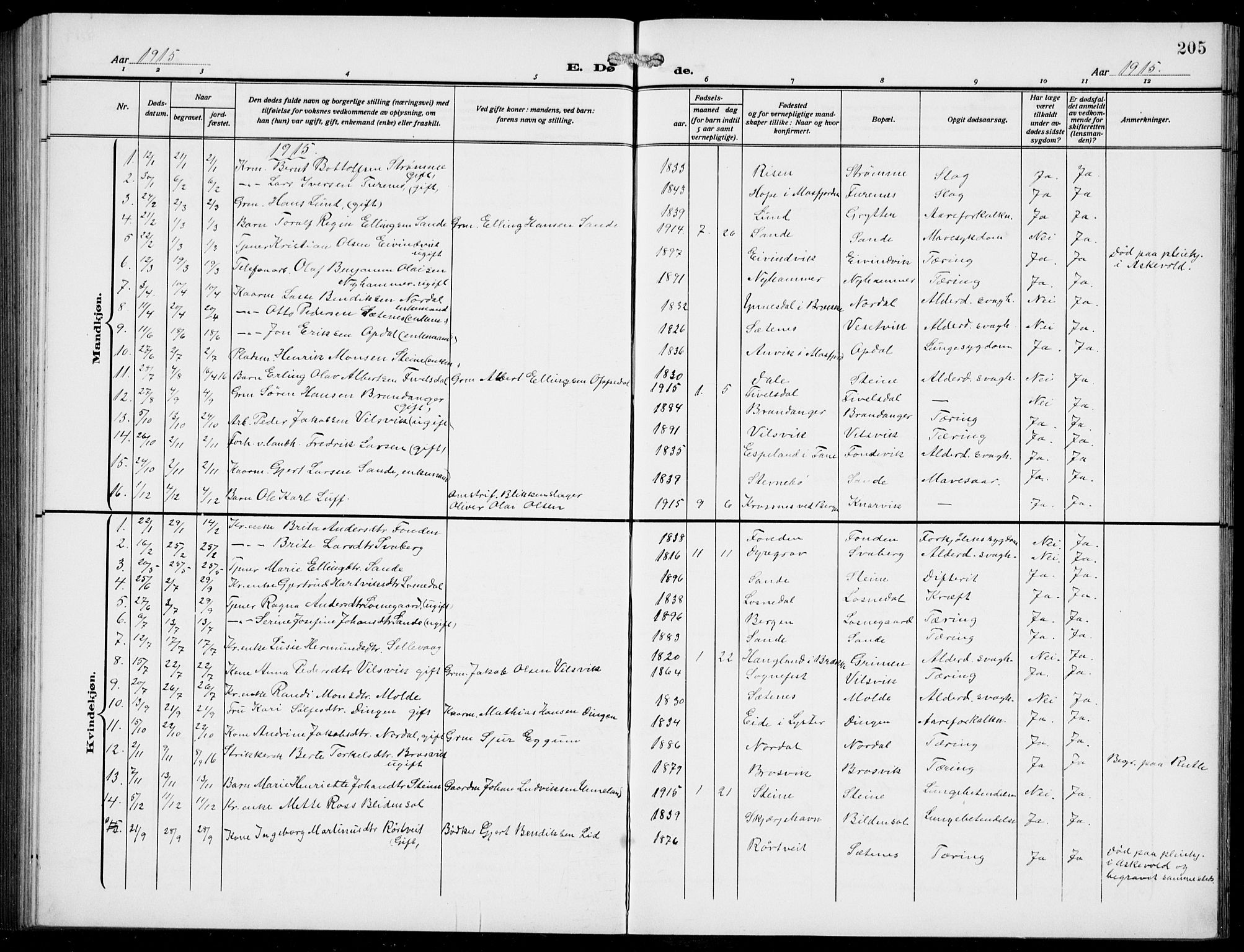 Gulen sokneprestembete, AV/SAB-A-80201/H/Hab/Habb/L0004: Parish register (copy) no. B 4, 1908-1936, p. 205