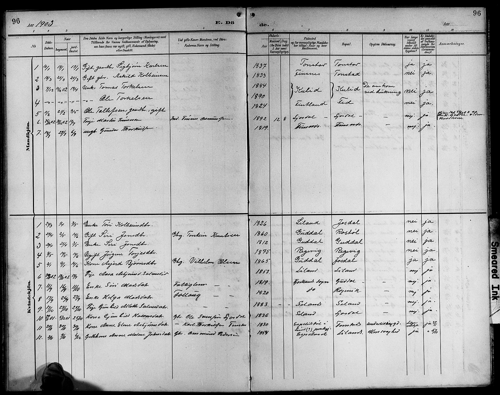 Sirdal sokneprestkontor, AV/SAK-1111-0036/F/Fb/Fbb/L0004: Parish register (copy) no. B 4, 1895-1916, p. 96