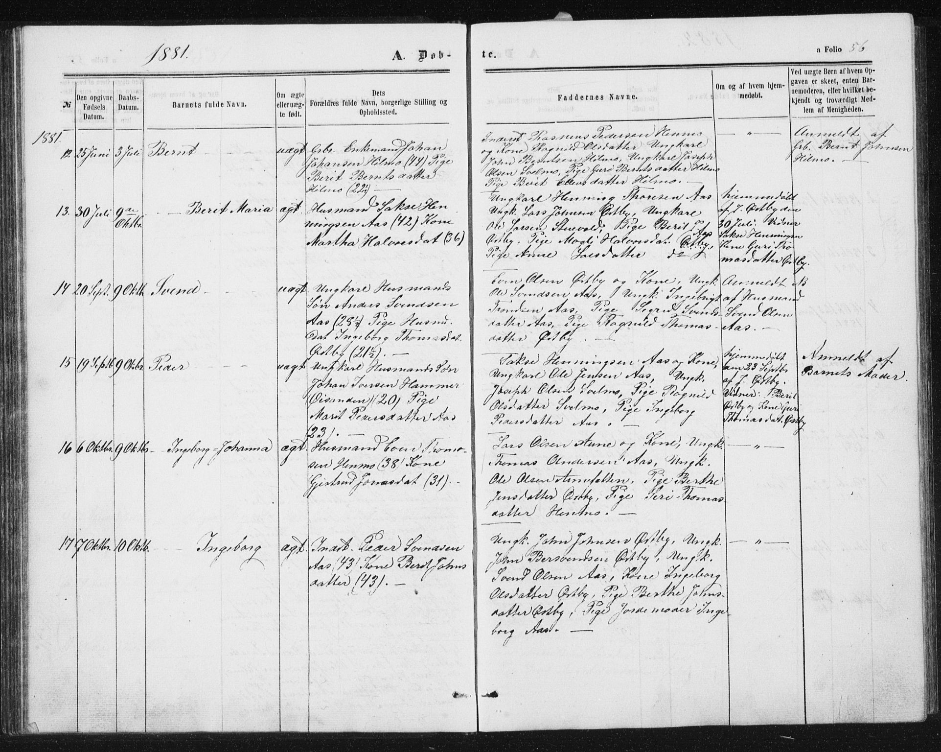 Ministerialprotokoller, klokkerbøker og fødselsregistre - Sør-Trøndelag, AV/SAT-A-1456/698/L1166: Parish register (copy) no. 698C03, 1861-1887, p. 56