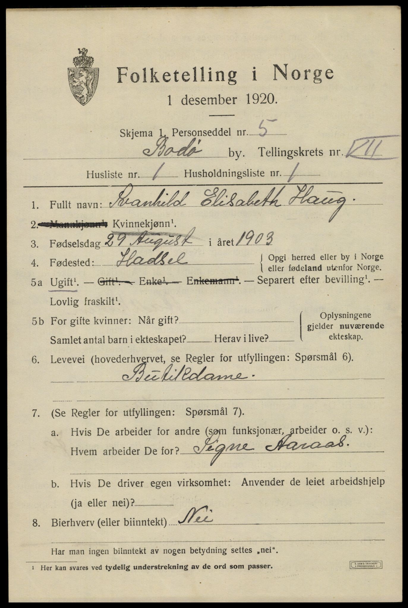 SAT, 1920 census for Bodø, 1920, p. 11105