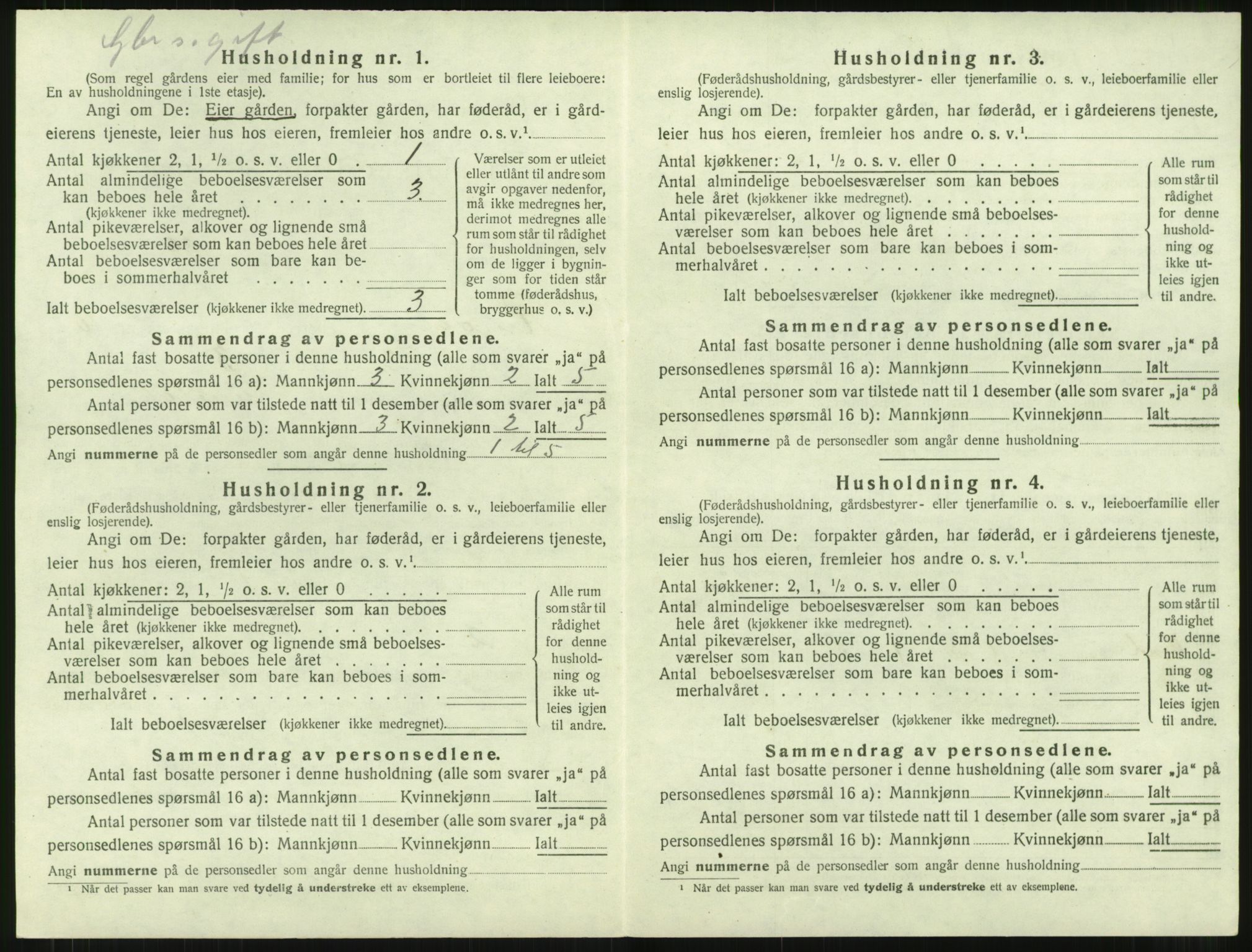 SAT, 1920 census for Rindal, 1920, p. 813