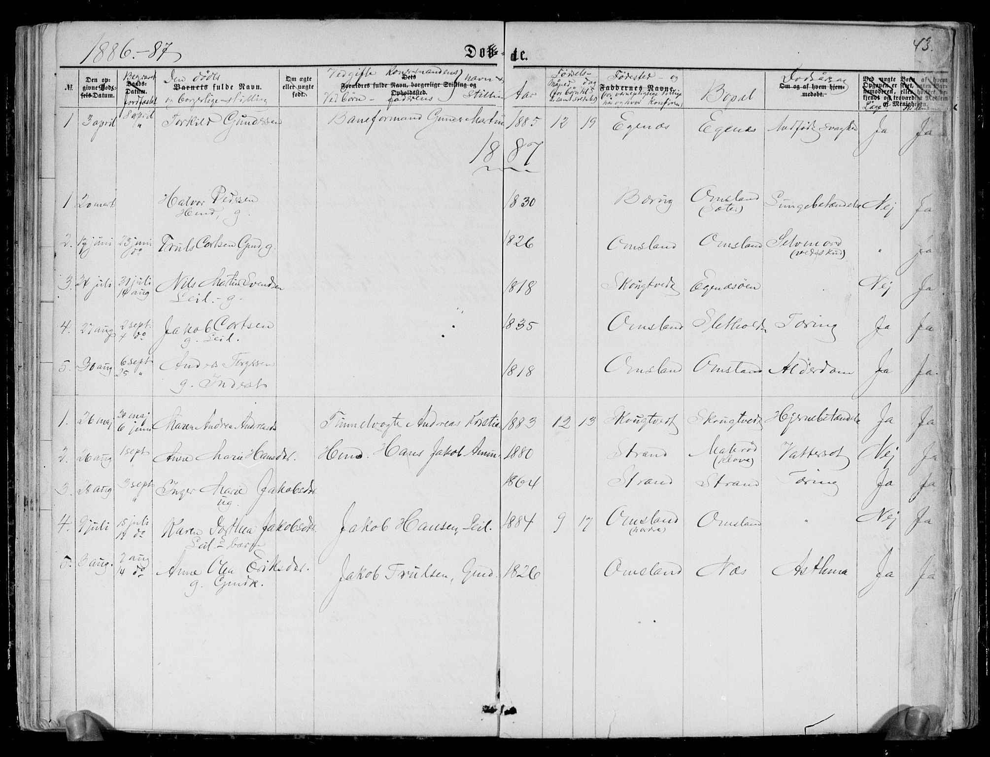Brunlanes kirkebøker, SAKO/A-342/G/Gc/L0001: Parish register (copy) no. III 1, 1866-1890, p. 43