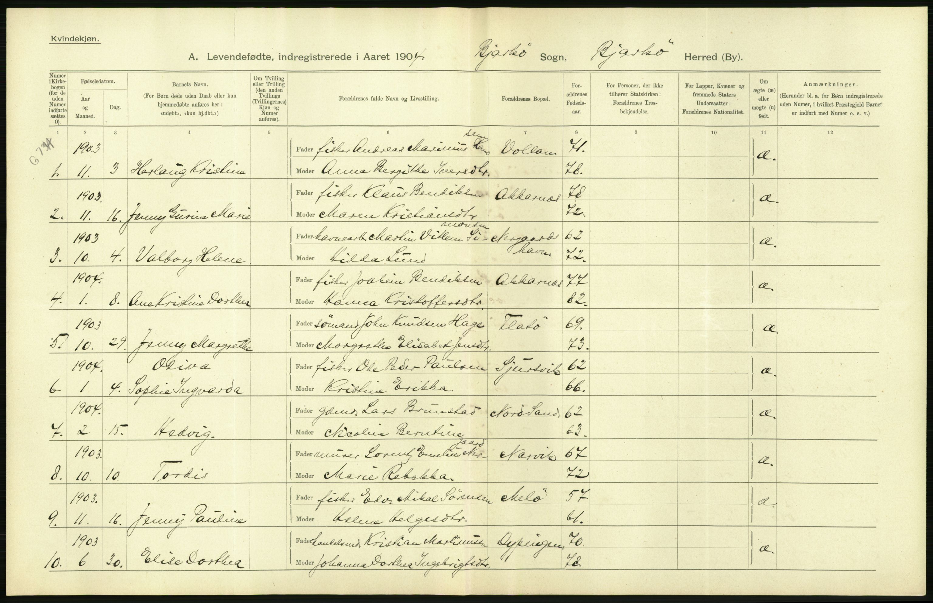 Statistisk sentralbyrå, Sosiodemografiske emner, Befolkning, AV/RA-S-2228/D/Df/Dfa/Dfab/L0022: Tromsø amt: Fødte, gifte, døde, 1904, p. 18