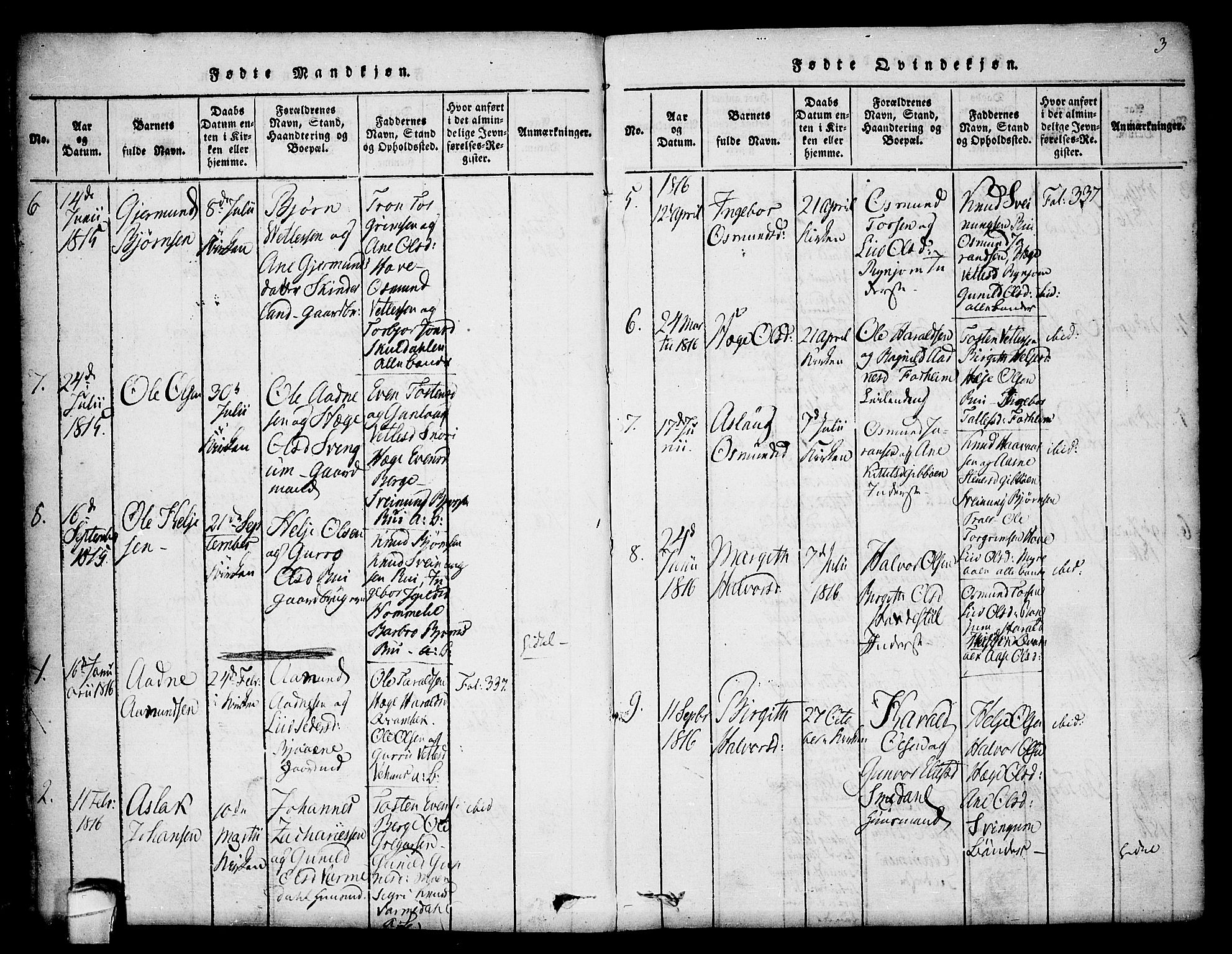 Seljord kirkebøker, AV/SAKO-A-20/F/Fc/L0001: Parish register (official) no. III 1, 1815-1831, p. 3