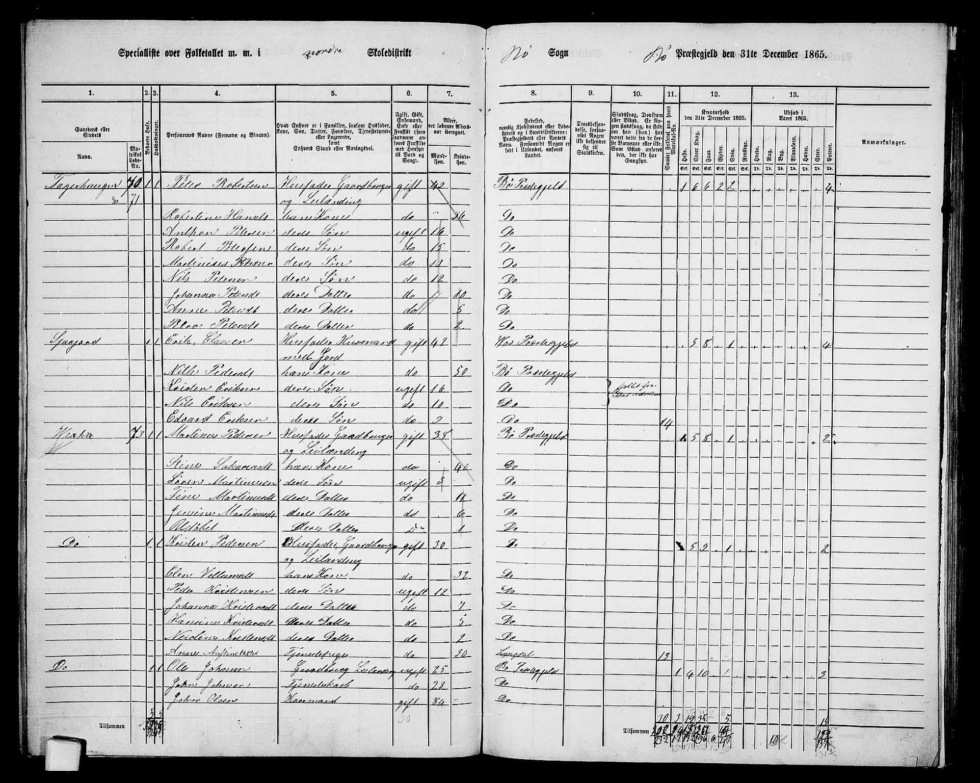 RA, 1865 census for Bø, 1865, p. 13