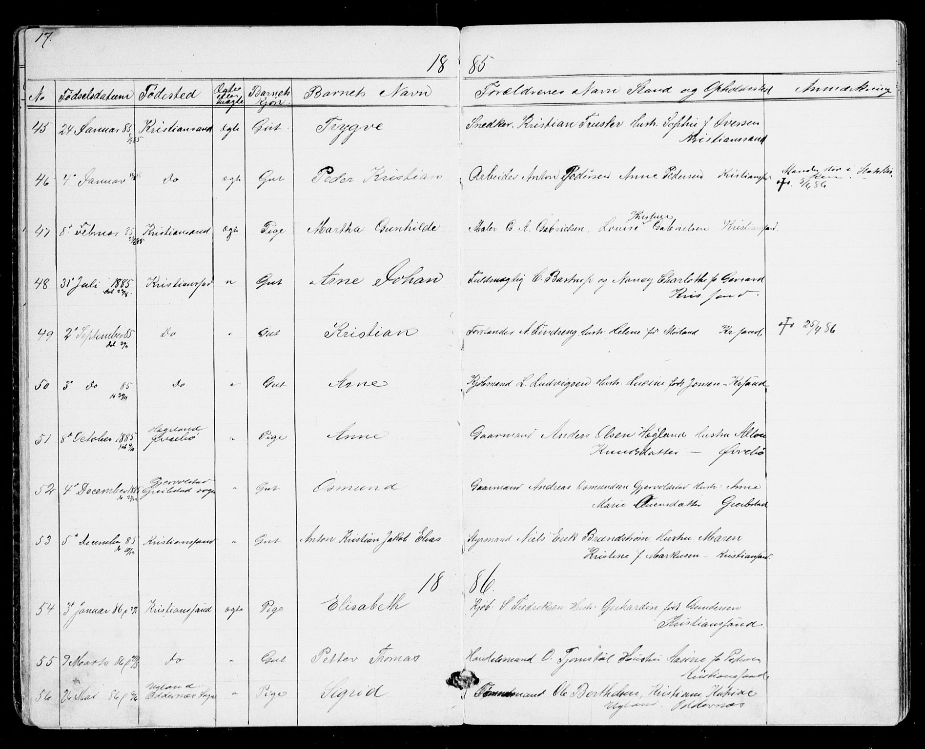 Den evangelisk-lutherske frikirke, Kristiansand, AV/SAK-1292-0017/F/Fa/L0001: Dissenter register no. F 9, 1877-1888, p. 17