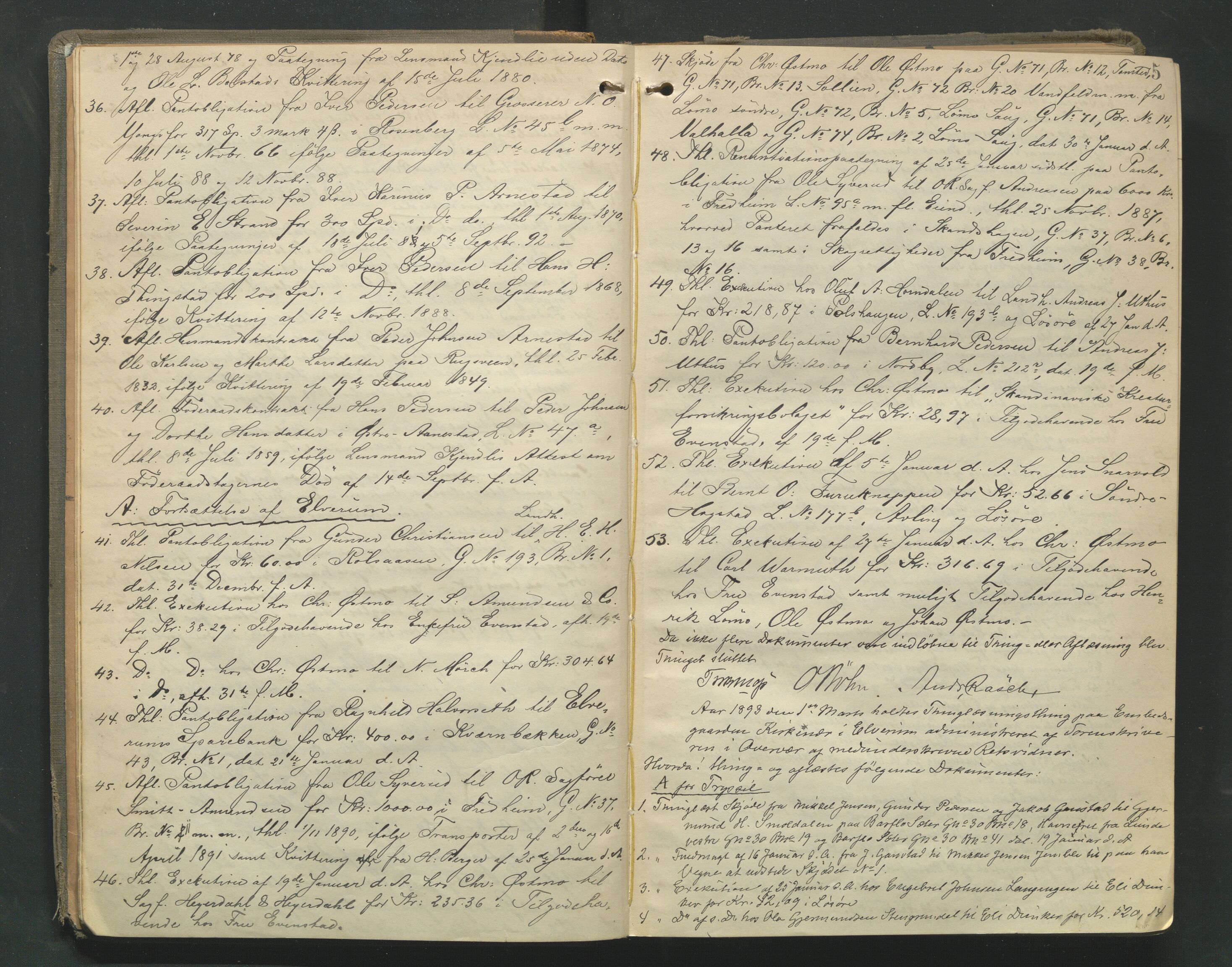 Sør-Østerdal sorenskriveri, AV/SAH-TING-018/G/Gb/L0013: Tingbok, 1893-1897, p. 4b-5a