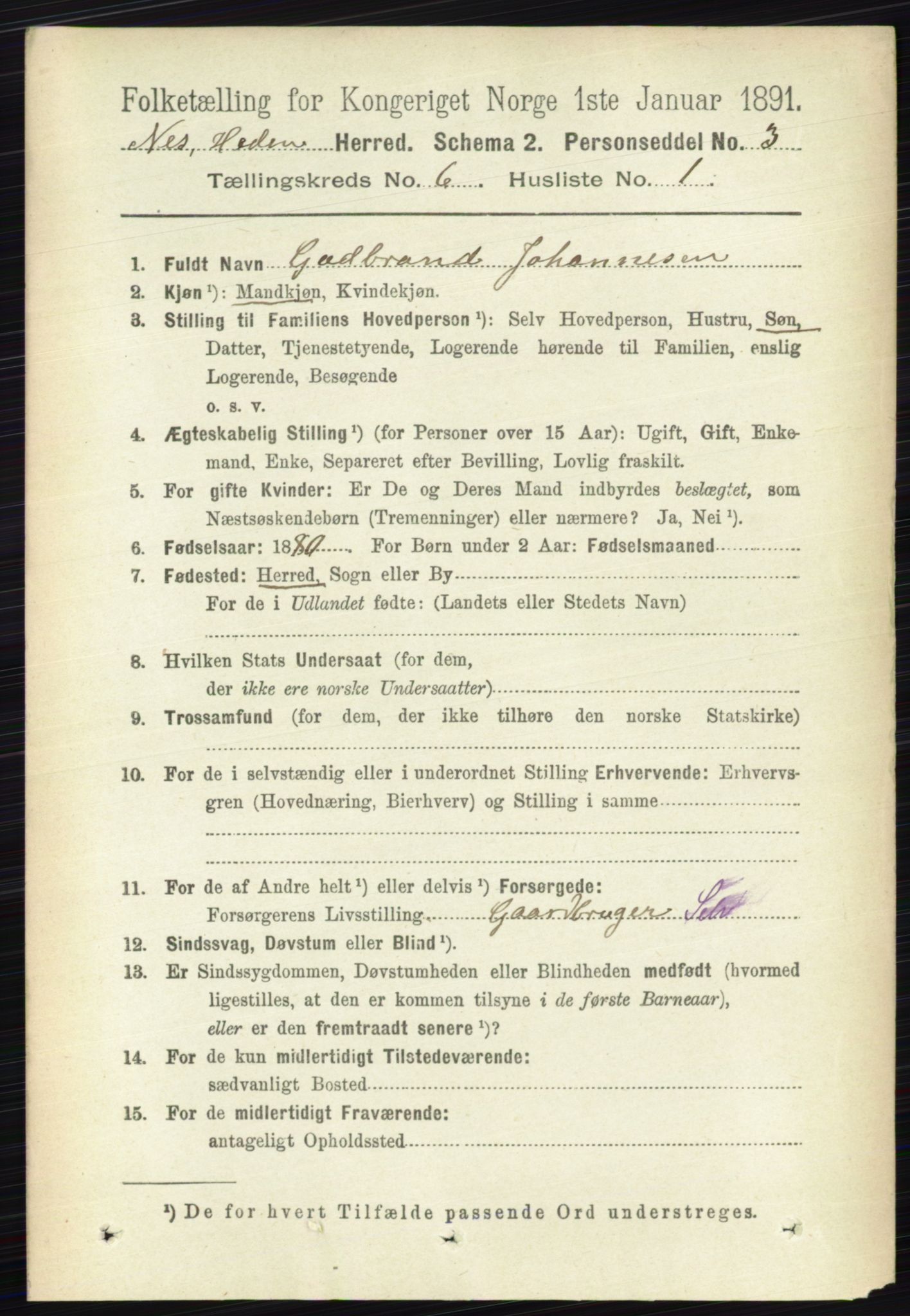 RA, 1891 census for 0411 Nes, 1891, p. 3269