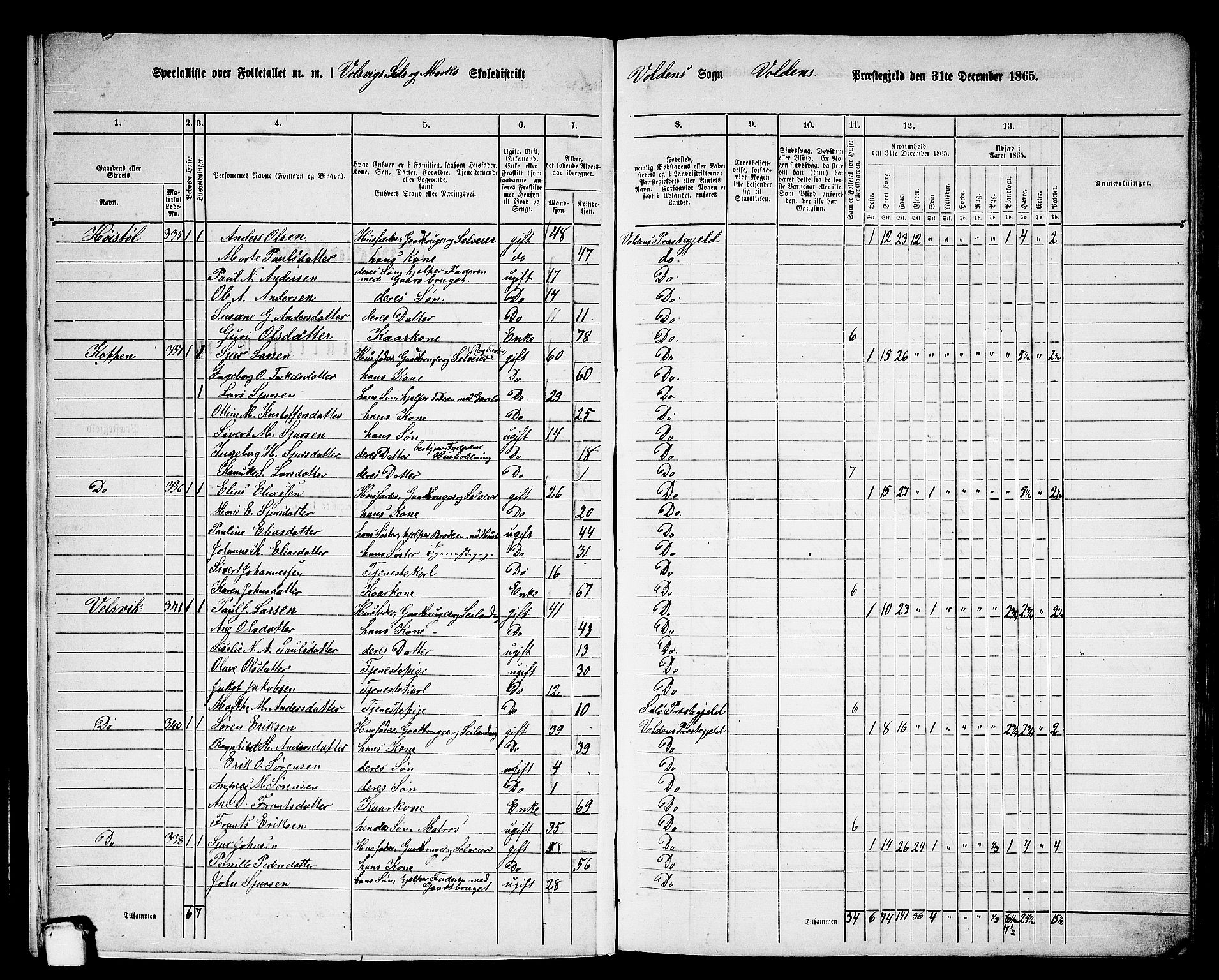 RA, 1865 census for Volda, 1865, p. 14