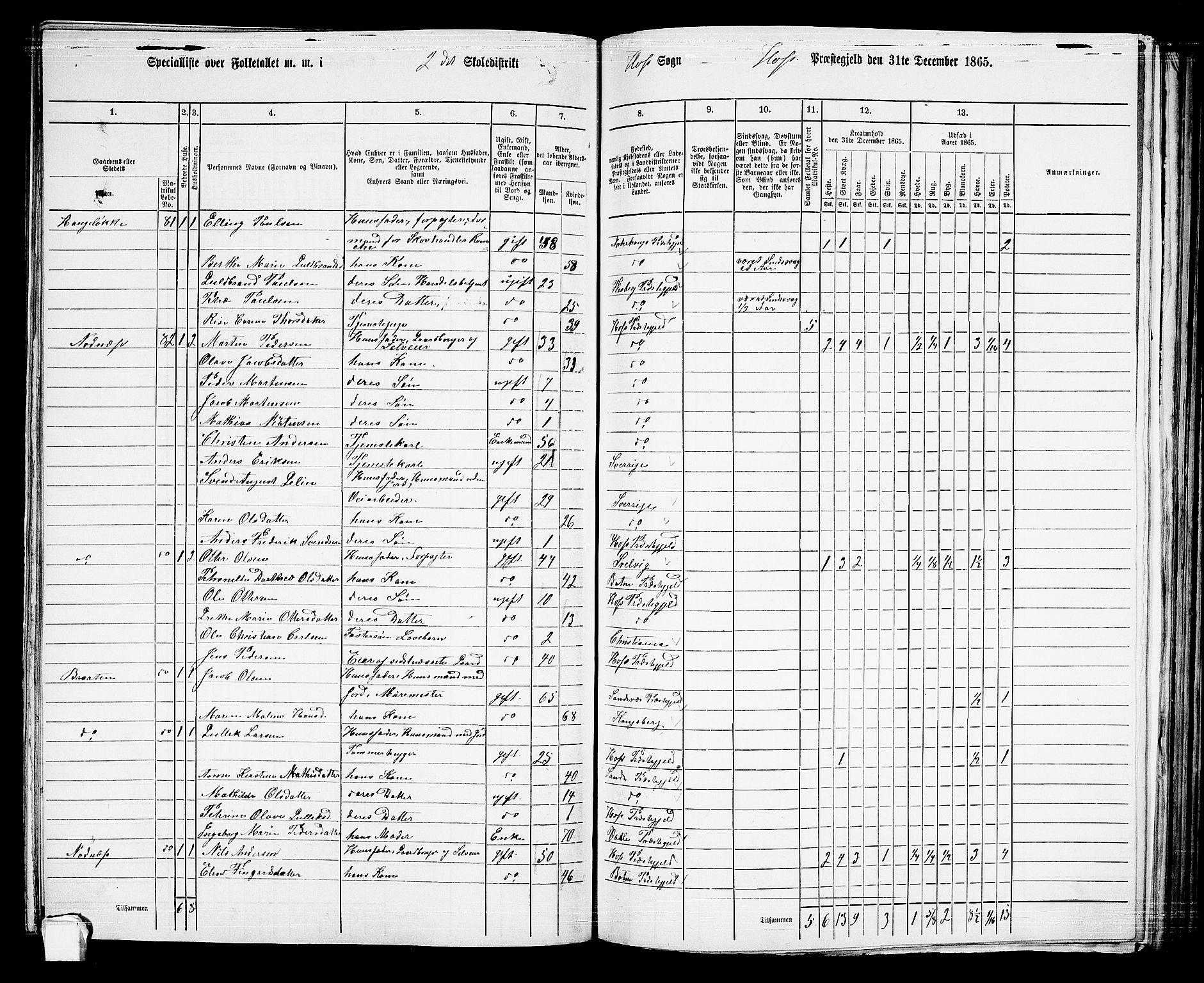 RA, 1865 census for Hof, 1865, p. 107