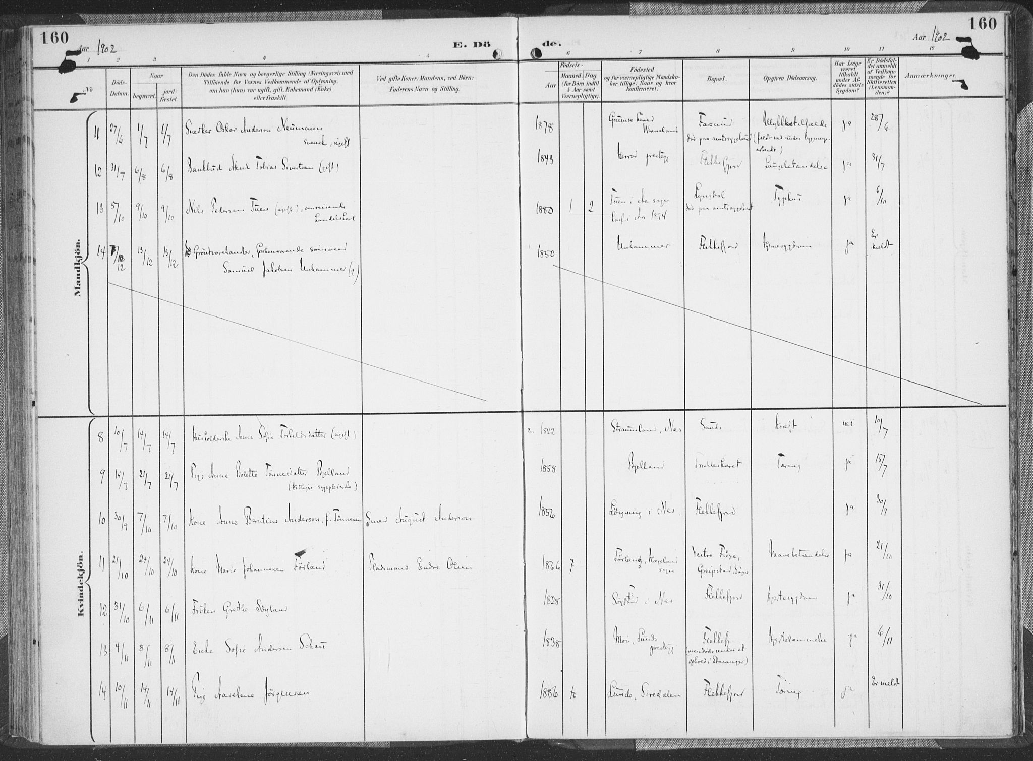 Flekkefjord sokneprestkontor, SAK/1111-0012/F/Fa/Faa/L0002: Parish register (official) no. A 2, 1900-1912, p. 160